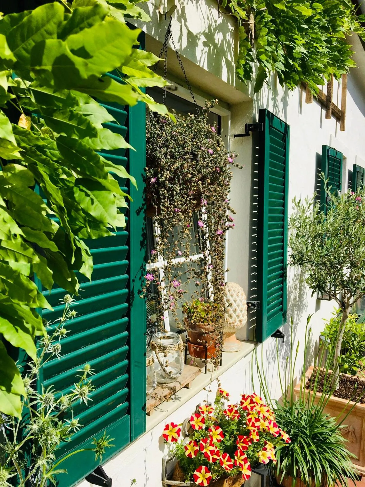 Bed & Breakfast Chez Lips