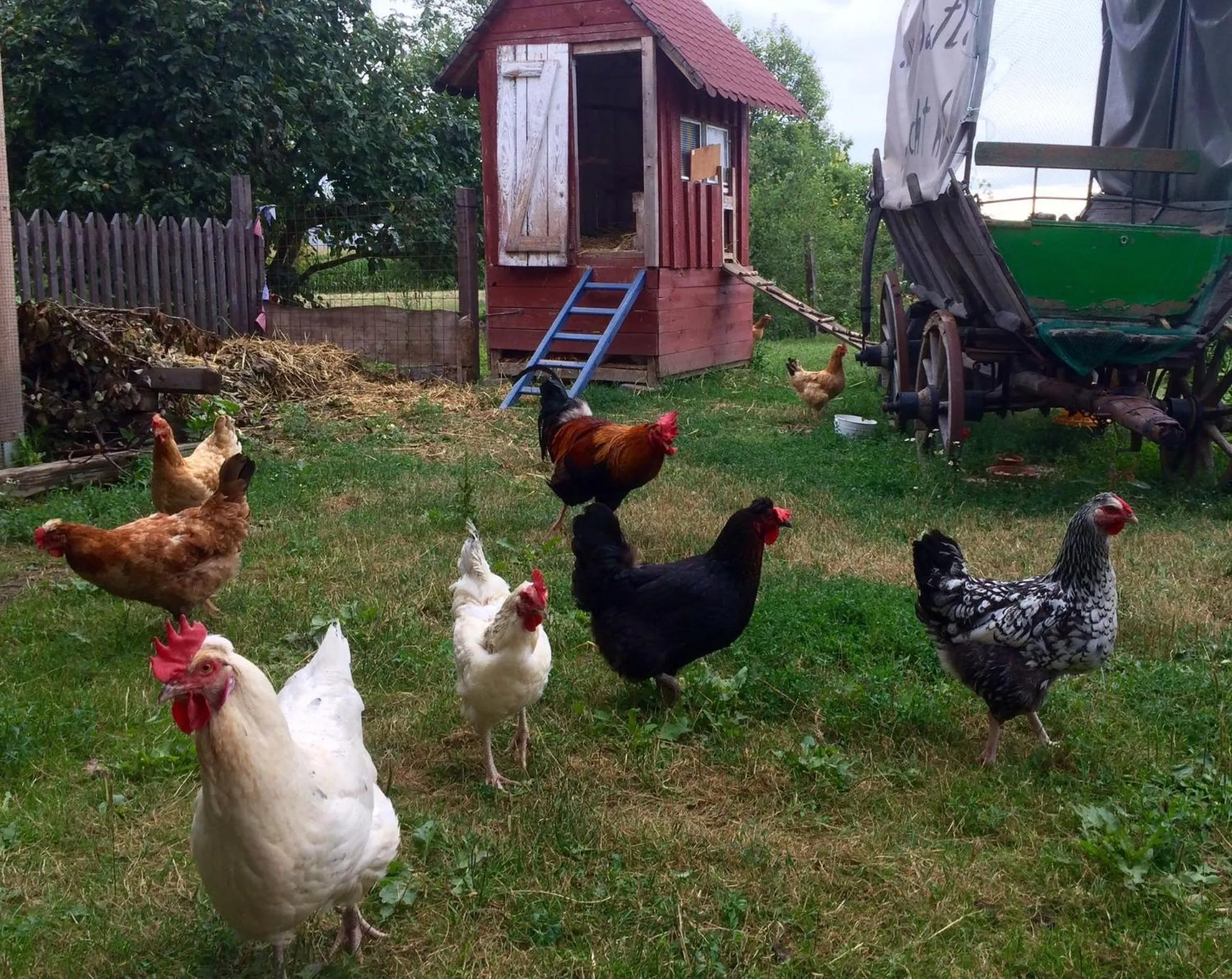 Bed & Breakfast Chez Lips