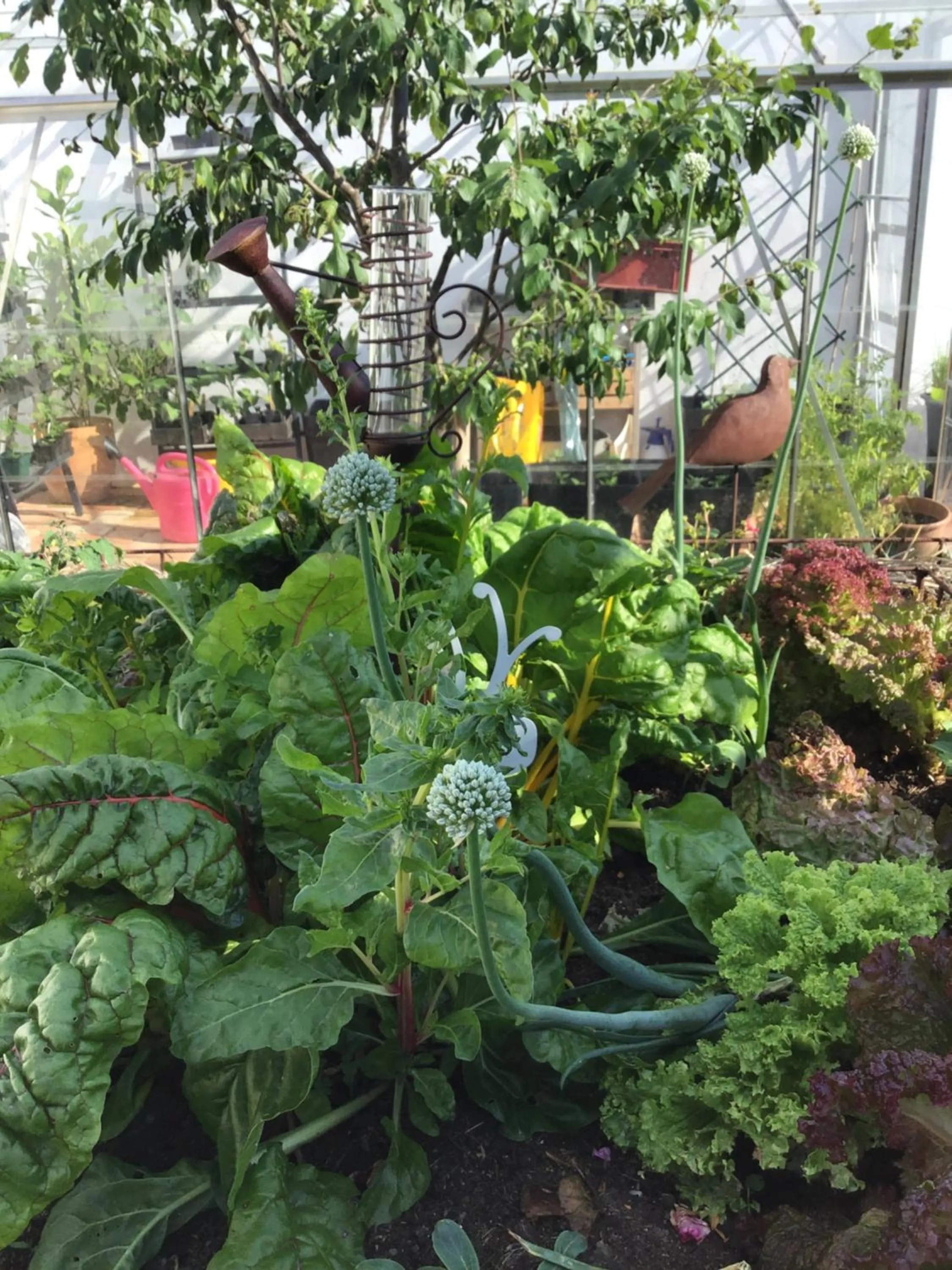 Bed & Breakfast Chez Lips