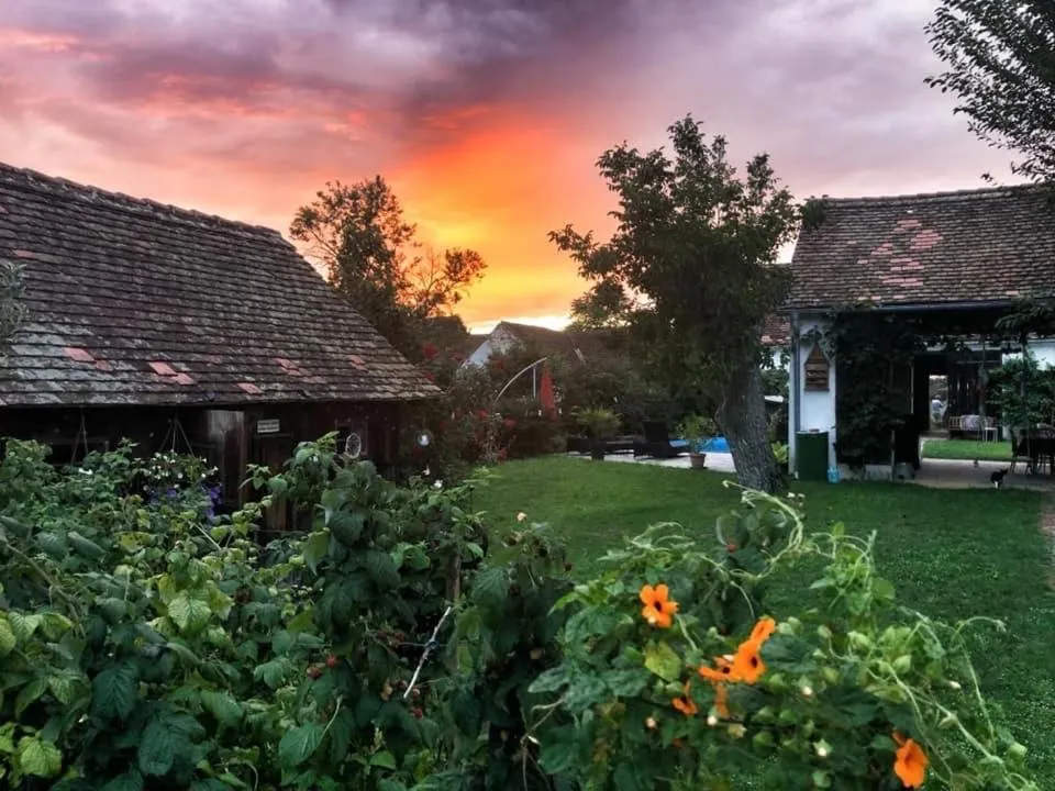 Bed & Breakfast Chez Lips