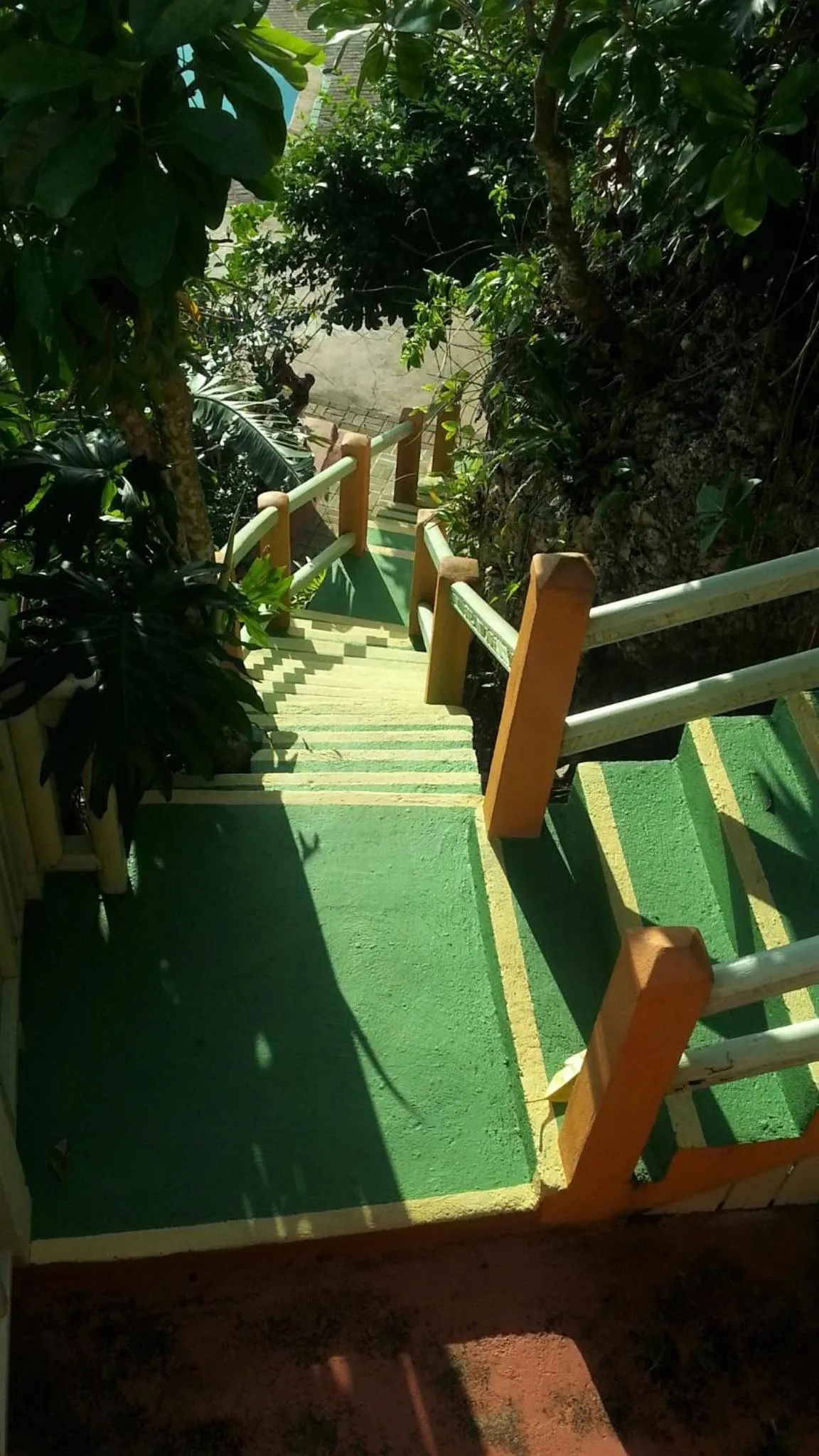 Area and facilities in Pimento Lodge Resort