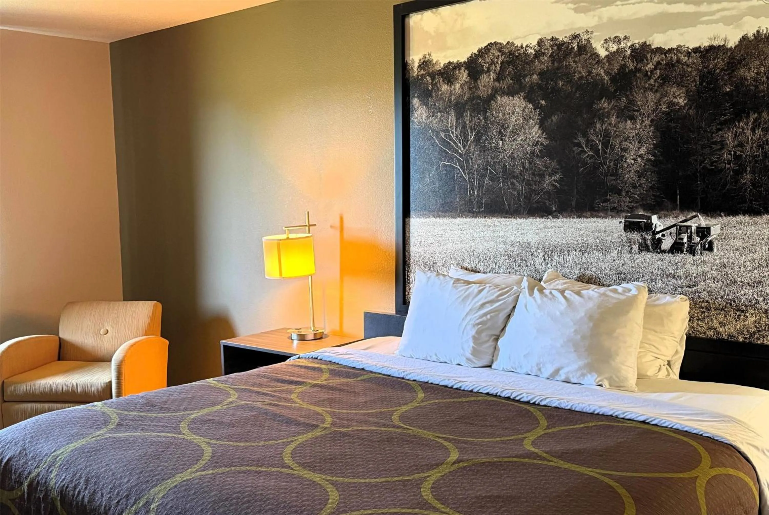 Photo of the whole room, Bed in Super 8 by Wyndham Gas City Marion Area