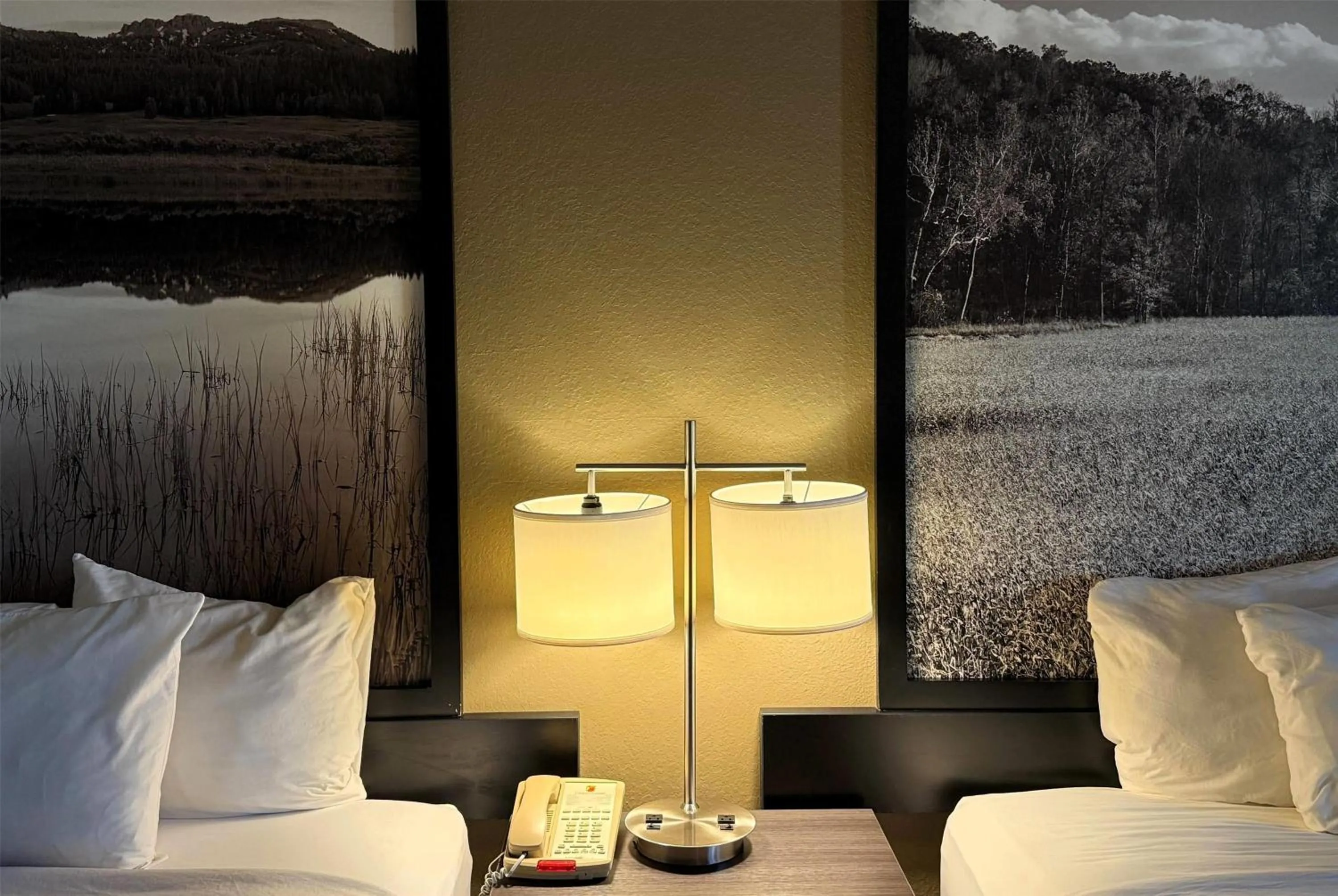 Photo of the whole room, Bed in Super 8 by Wyndham Gas City Marion Area