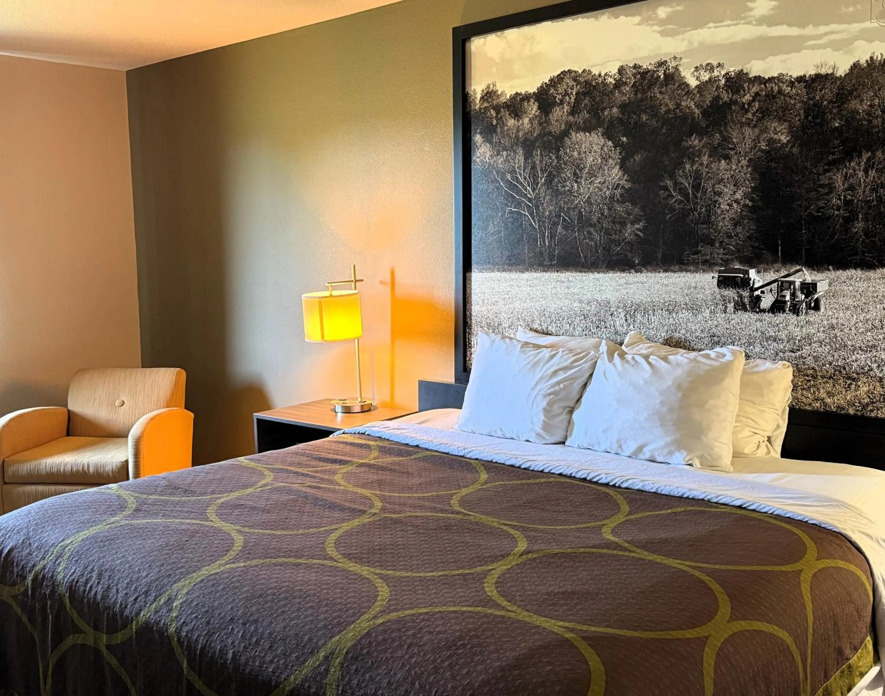 Guests, Bed in Super 8 by Wyndham Gas City Marion Area