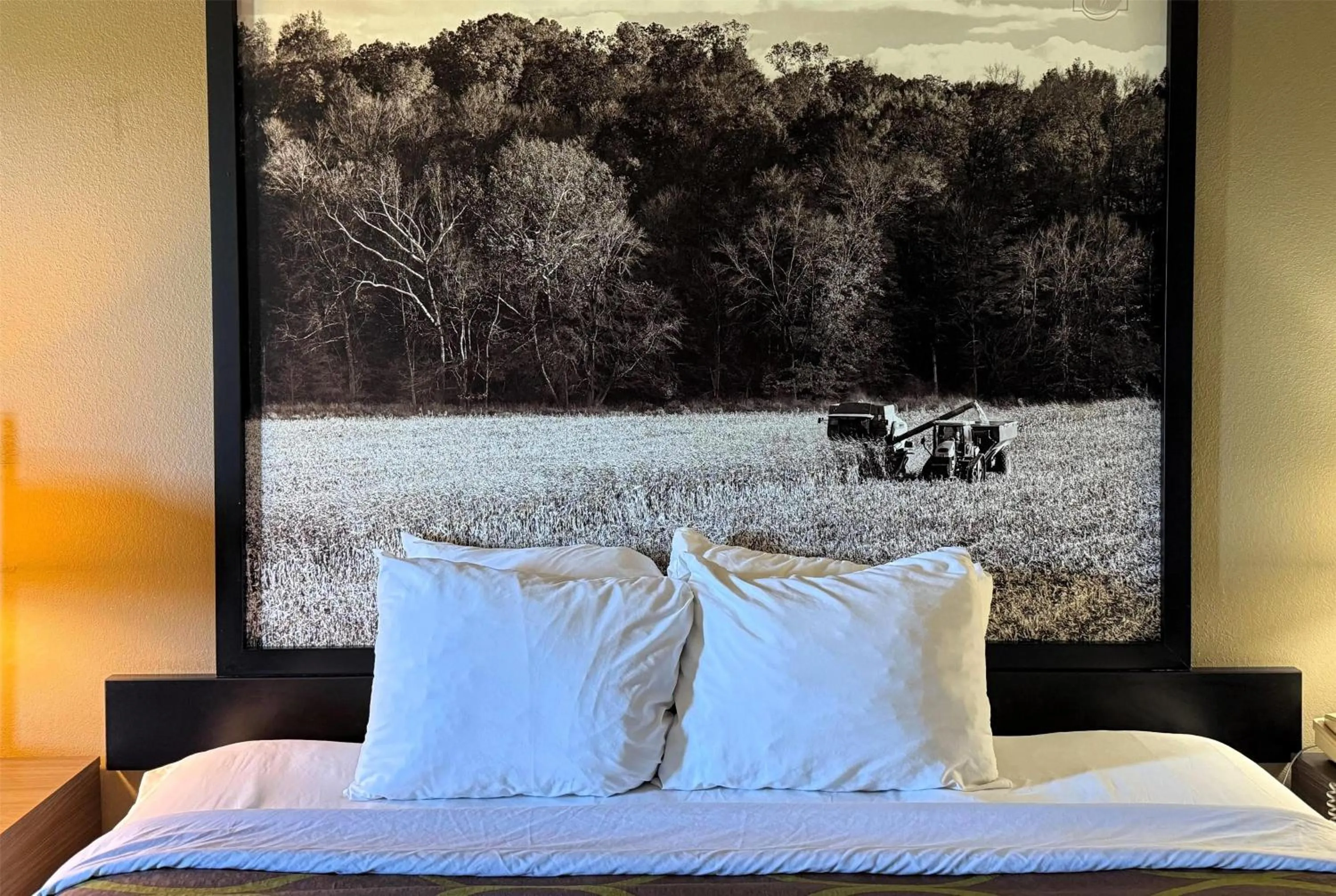 Photo of the whole room, Bed in Super 8 by Wyndham Gas City Marion Area