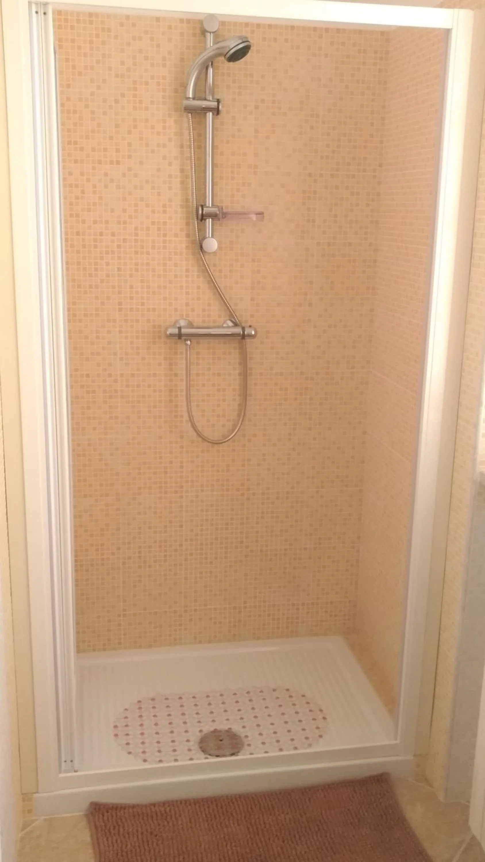 Shower in B&B Il girasole - A casa di Ale