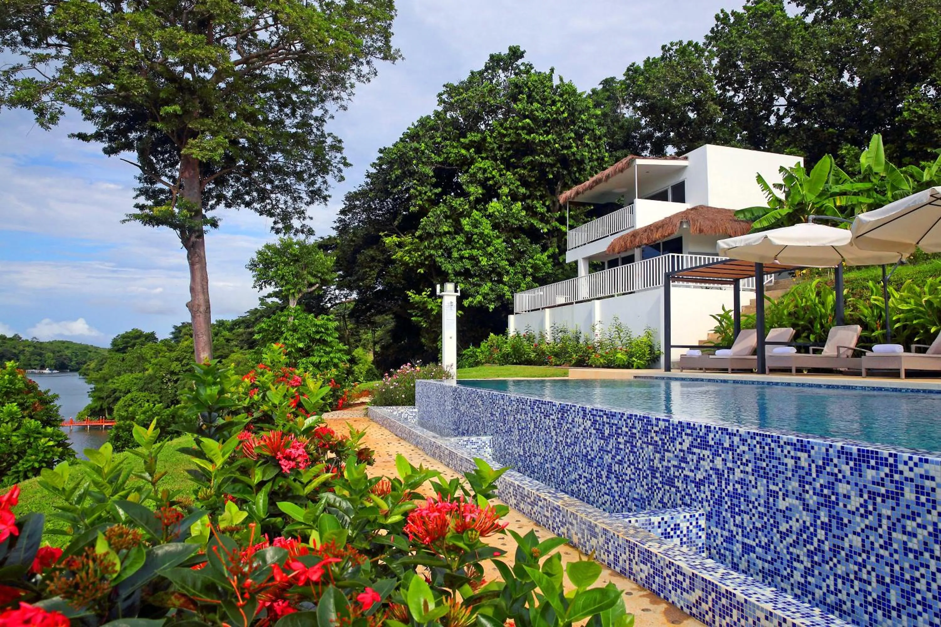 Garden in Bocas del Mar