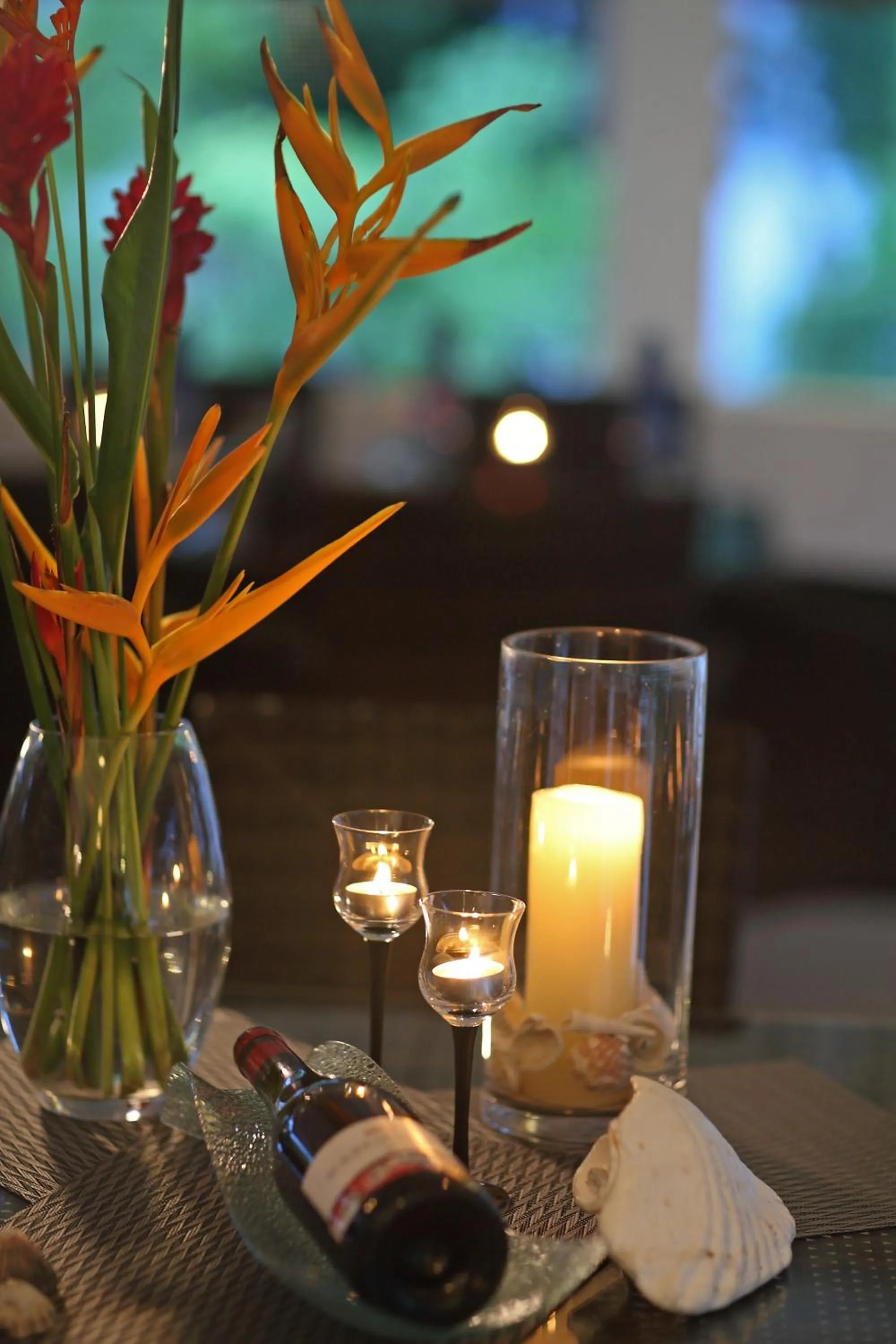 Dinner in Bocas del Mar