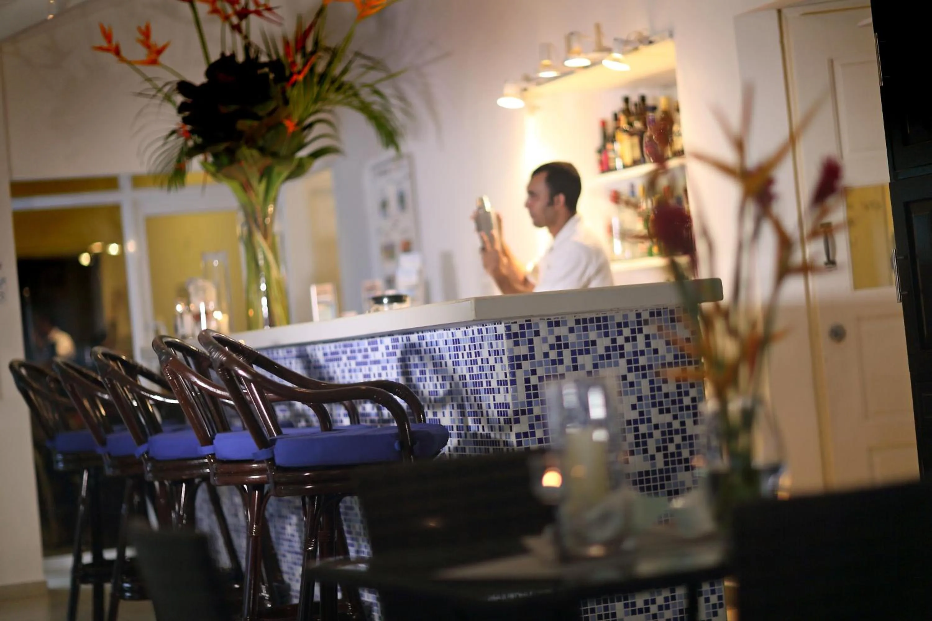 Restaurant/places to eat in Bocas del Mar