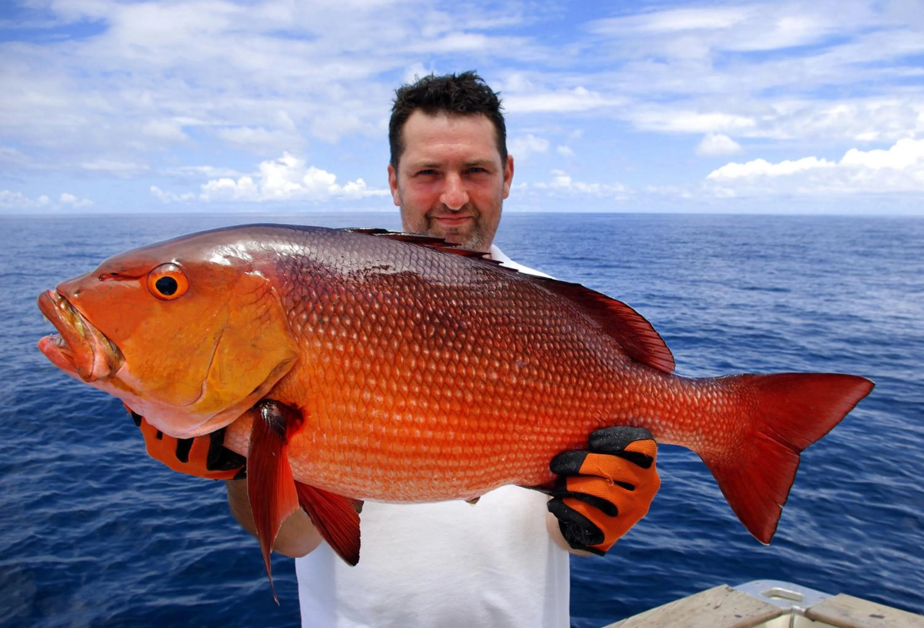 Fishing in Bocas del Mar