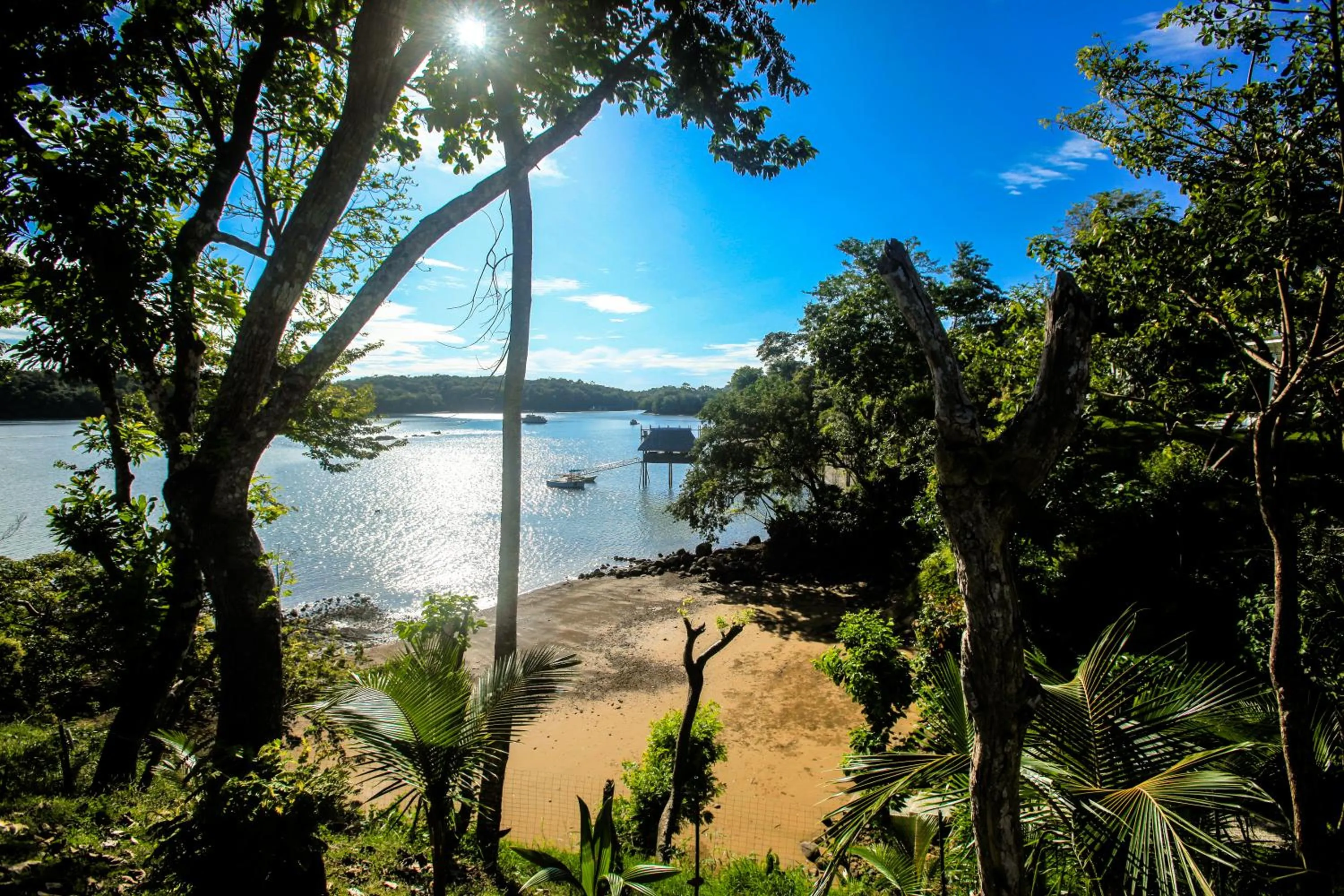 Garden in Bocas del Mar