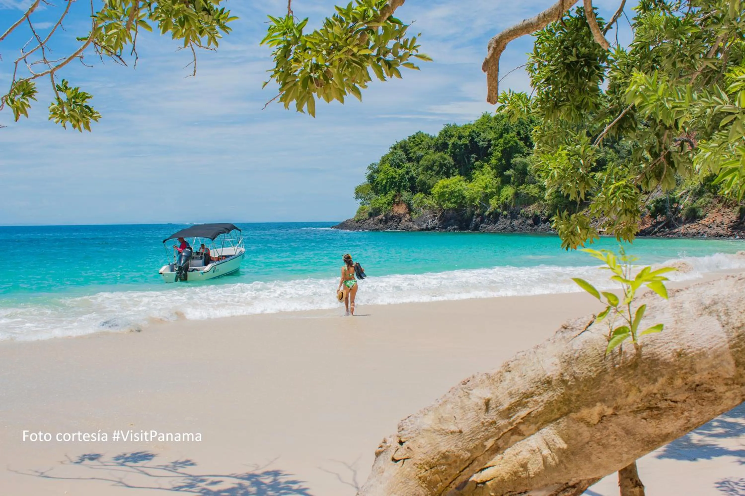 Activities in Bocas del Mar