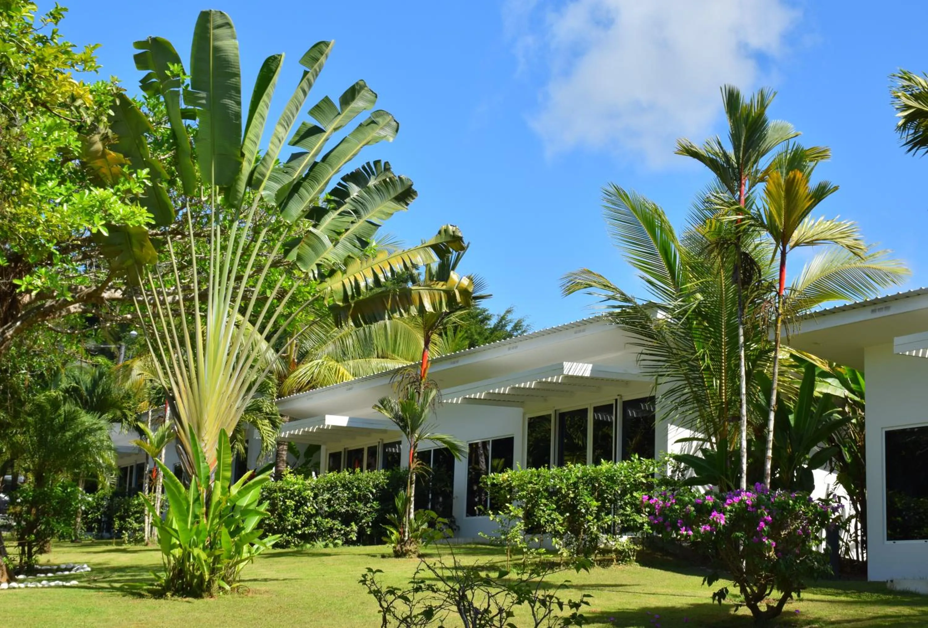 Property building in Bocas del Mar