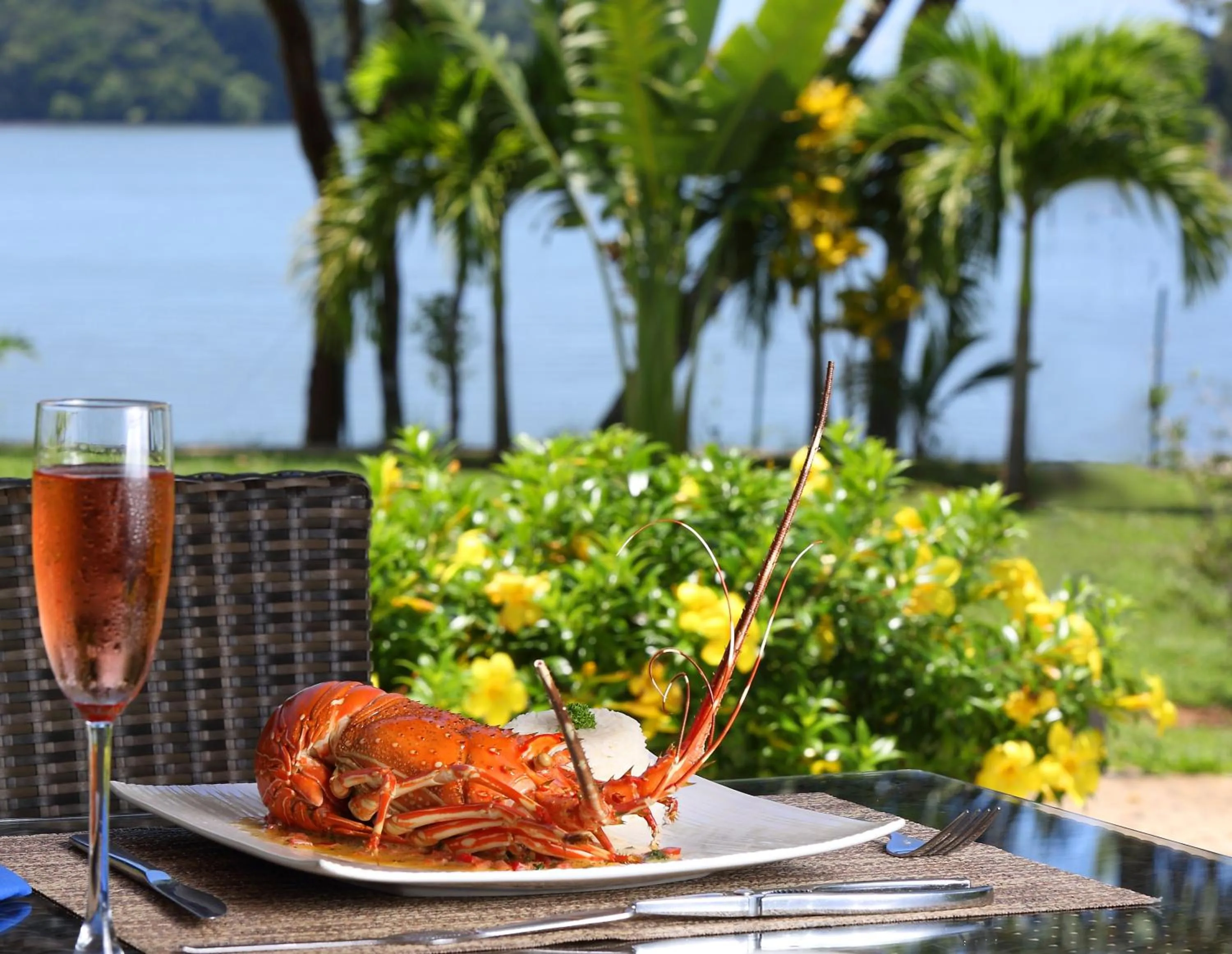 Restaurant/places to eat in Bocas del Mar