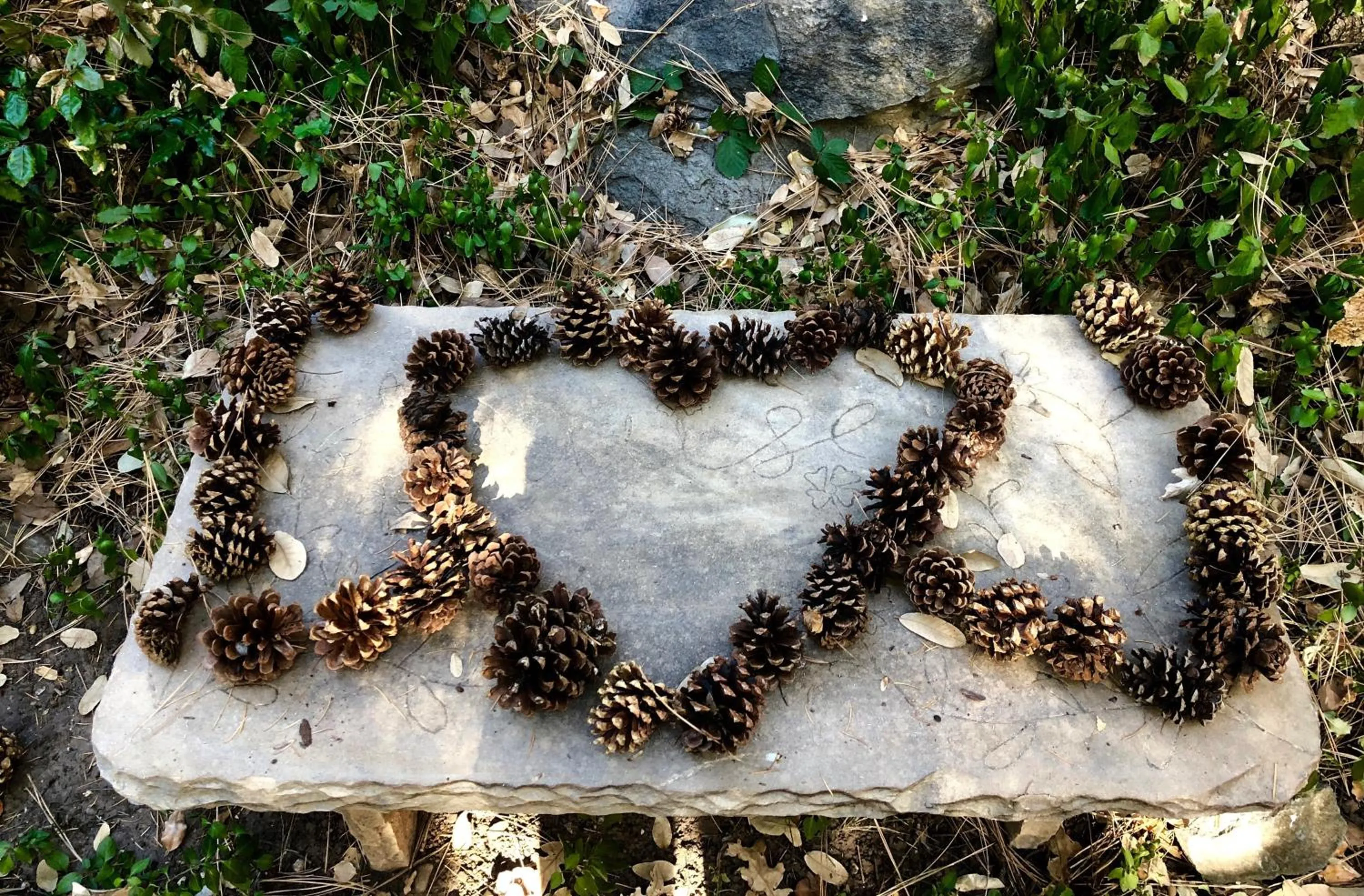 Natural landscape in Junipine Resort