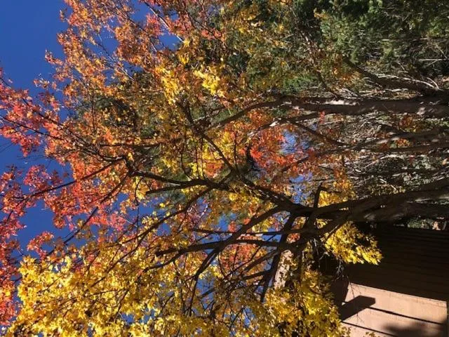 Natural landscape in Junipine Resort