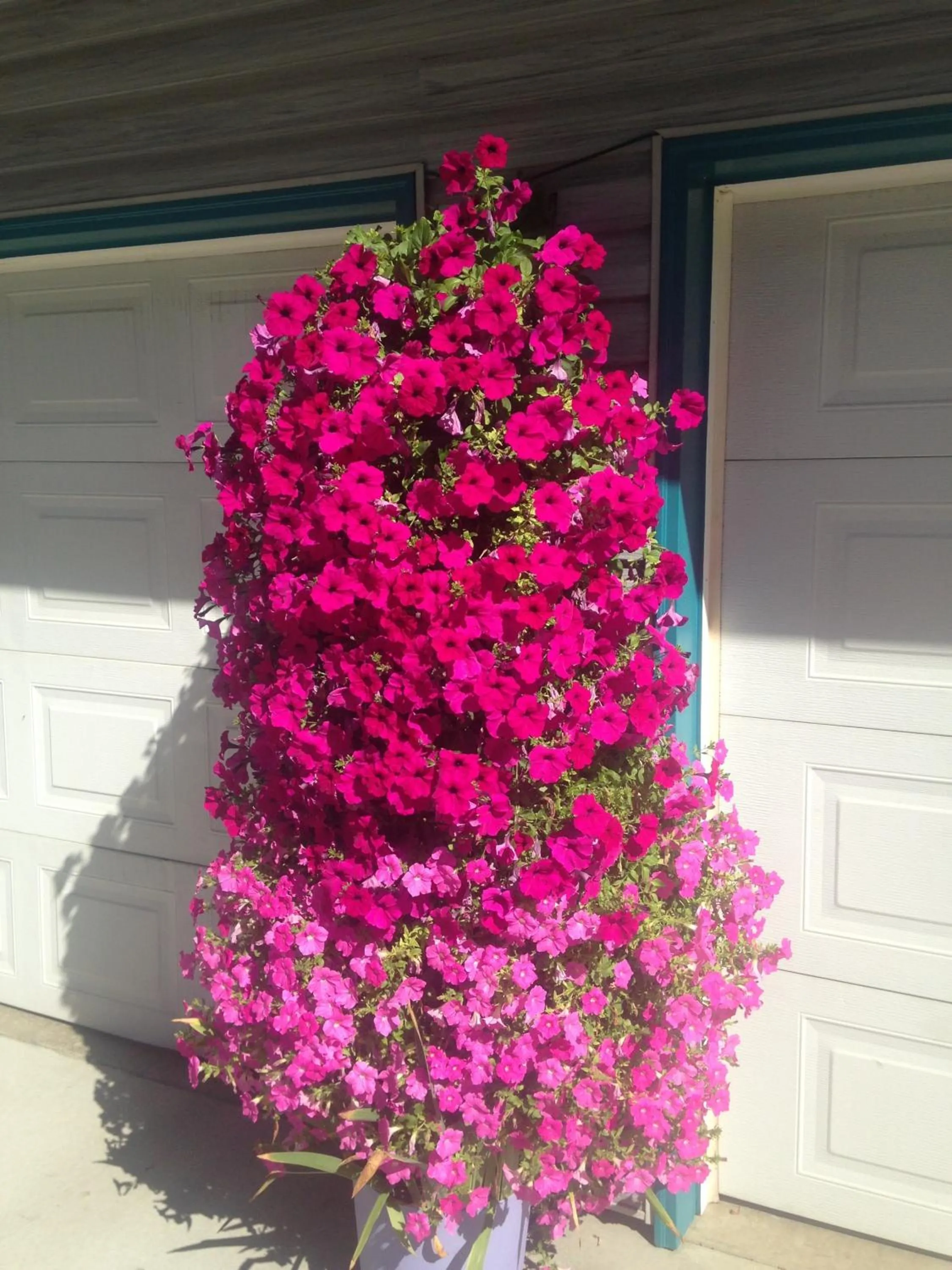 Spring in Eagle's Nest B&B