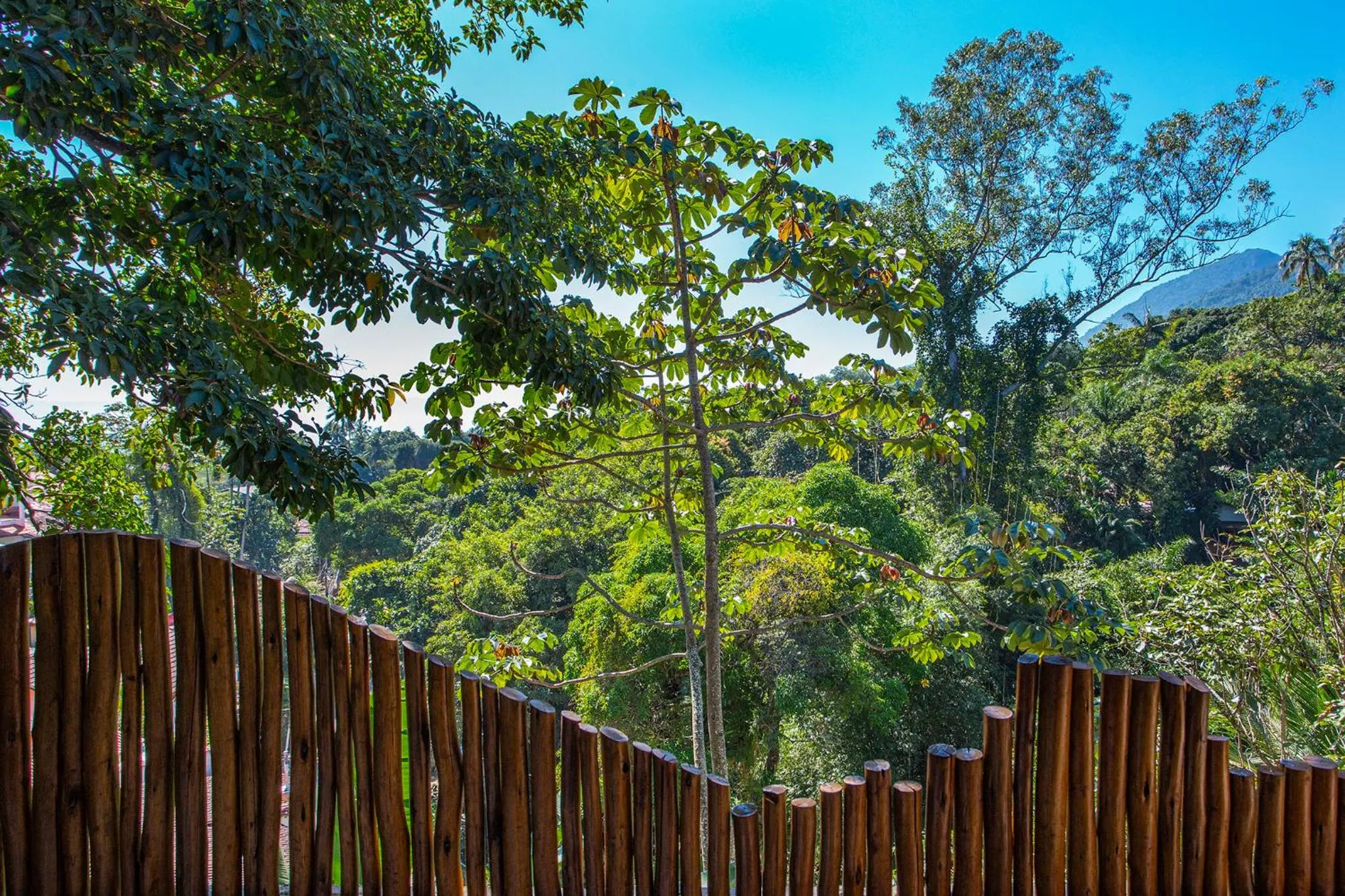 Natural landscape in Hotel Vila Kebaya