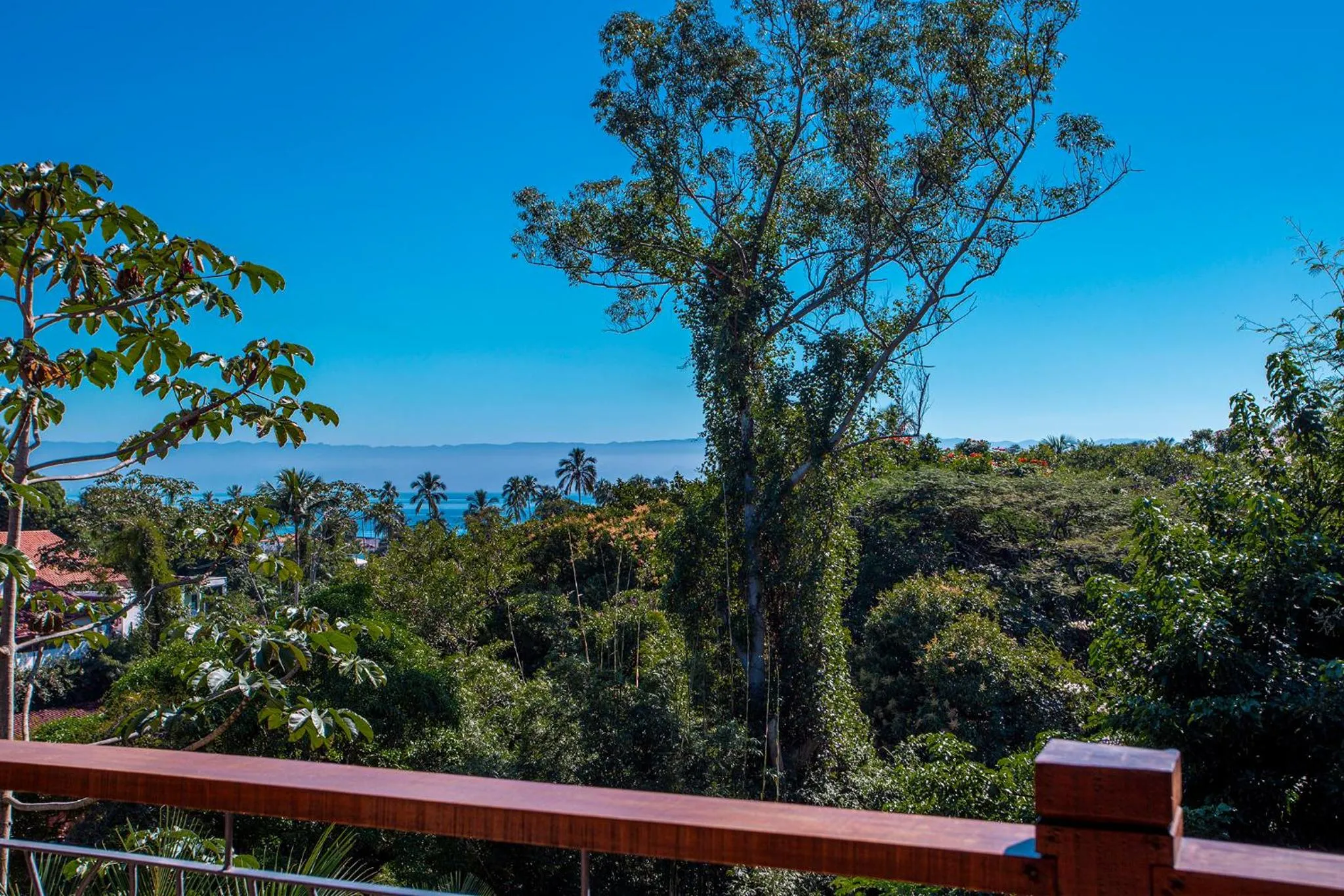 Natural landscape in Hotel Vila Kebaya