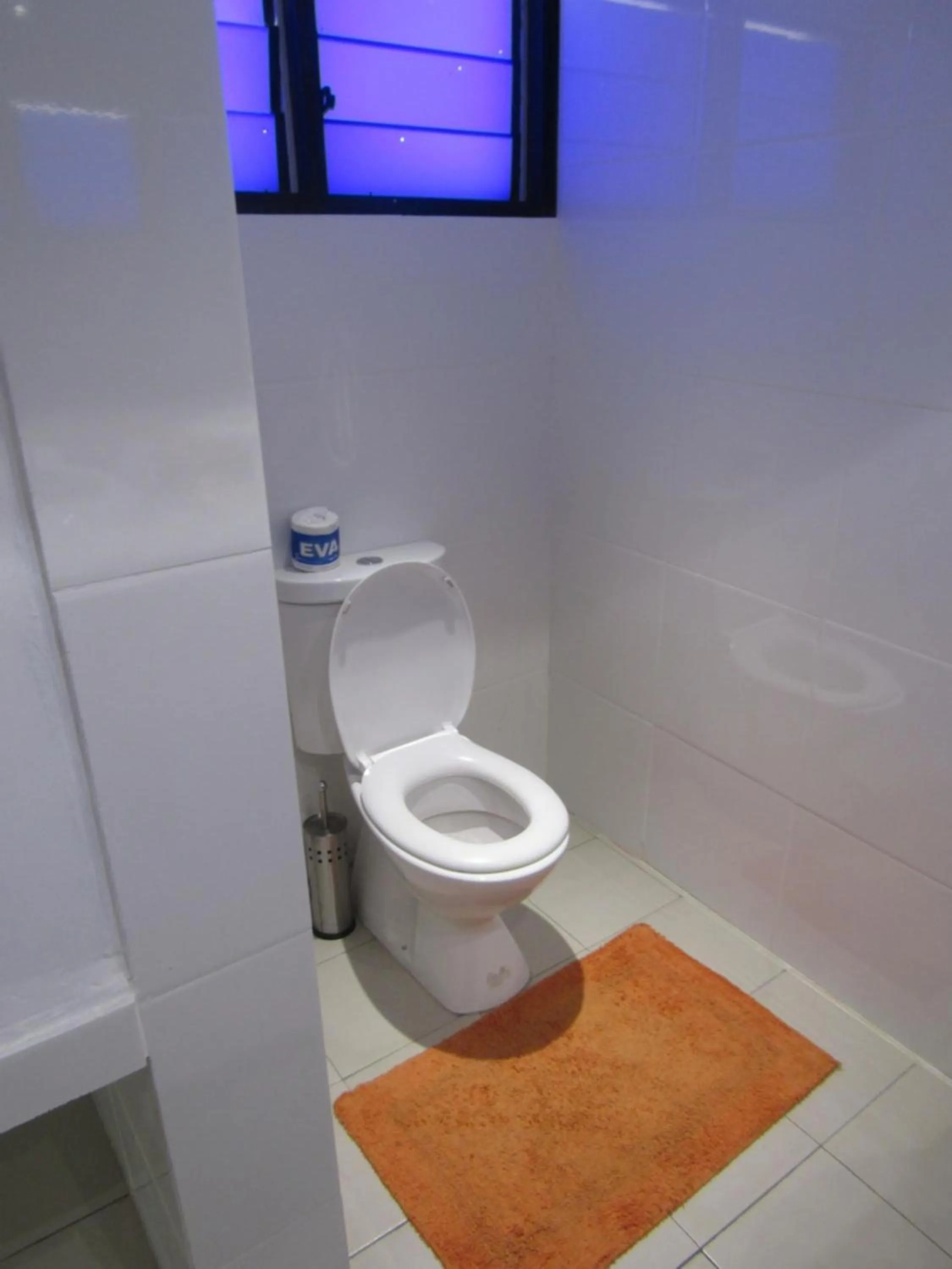 Toilet in Stevensons at Manase