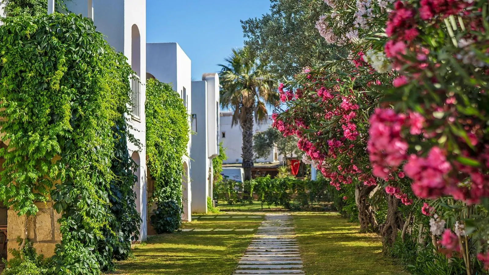 Garden, Property Building in Toka Bodrum Hotel & Beach Club