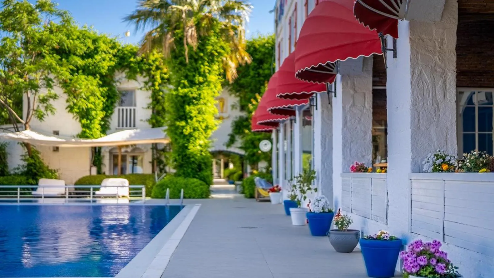 Garden, Swimming Pool in Toka Bodrum Hotel & Beach Club