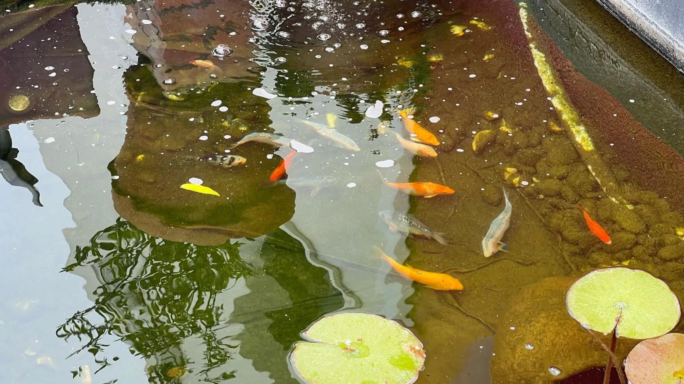 Garden in Villa 3 Caparica - Lisbon Gay Beach Resort