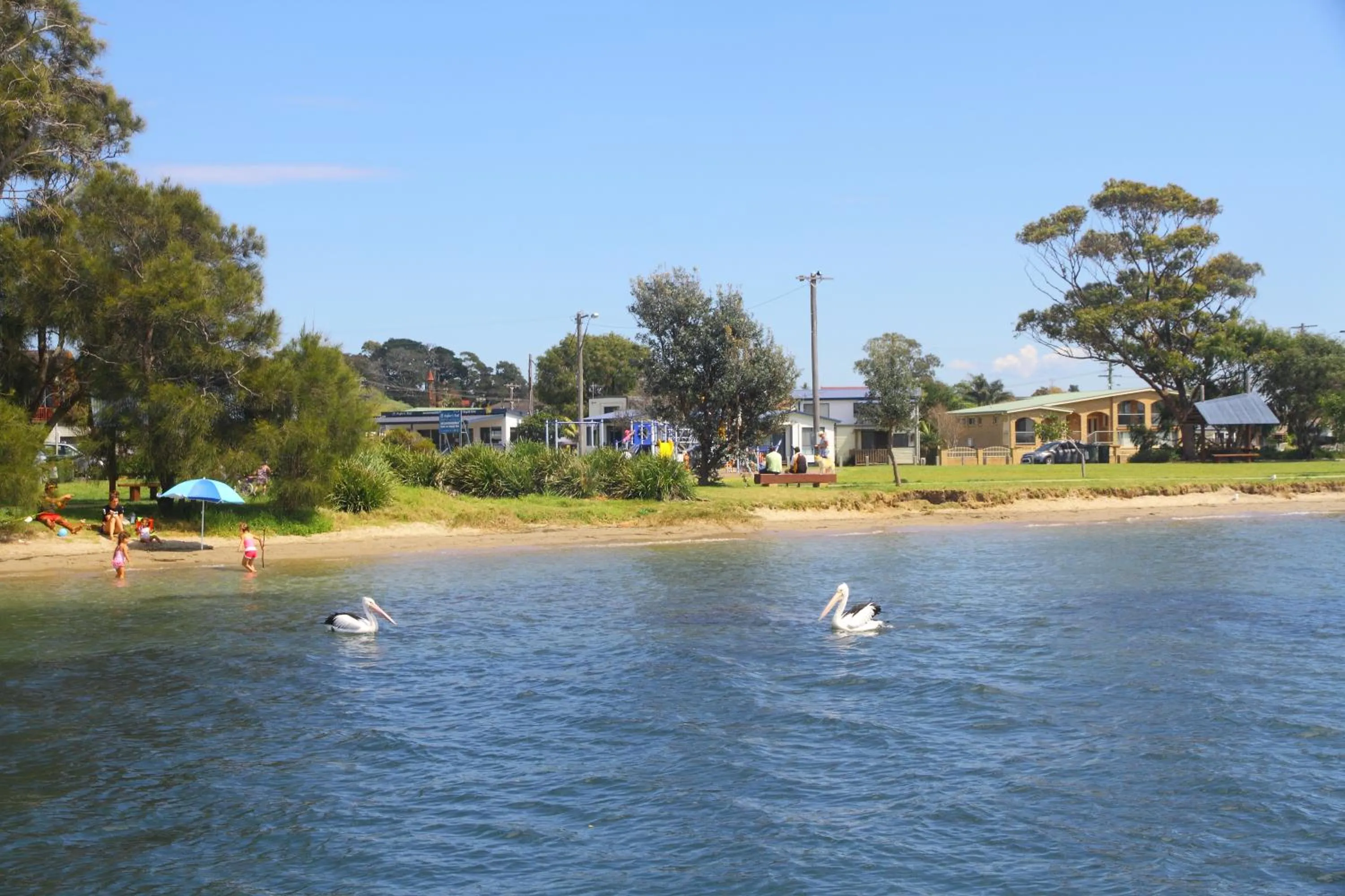 Beach in South Coast Retreat