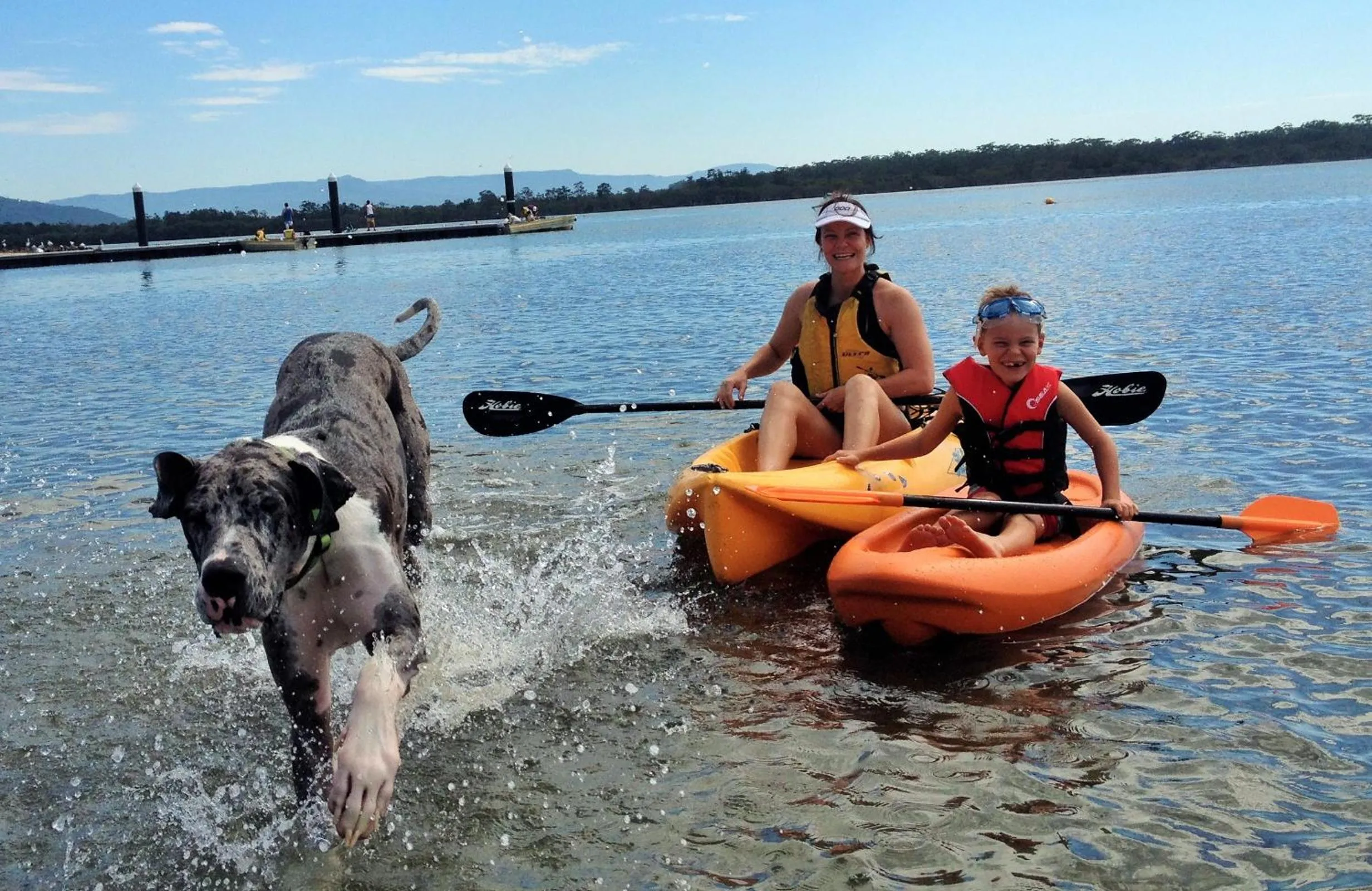 Natural landscape in South Coast Retreat