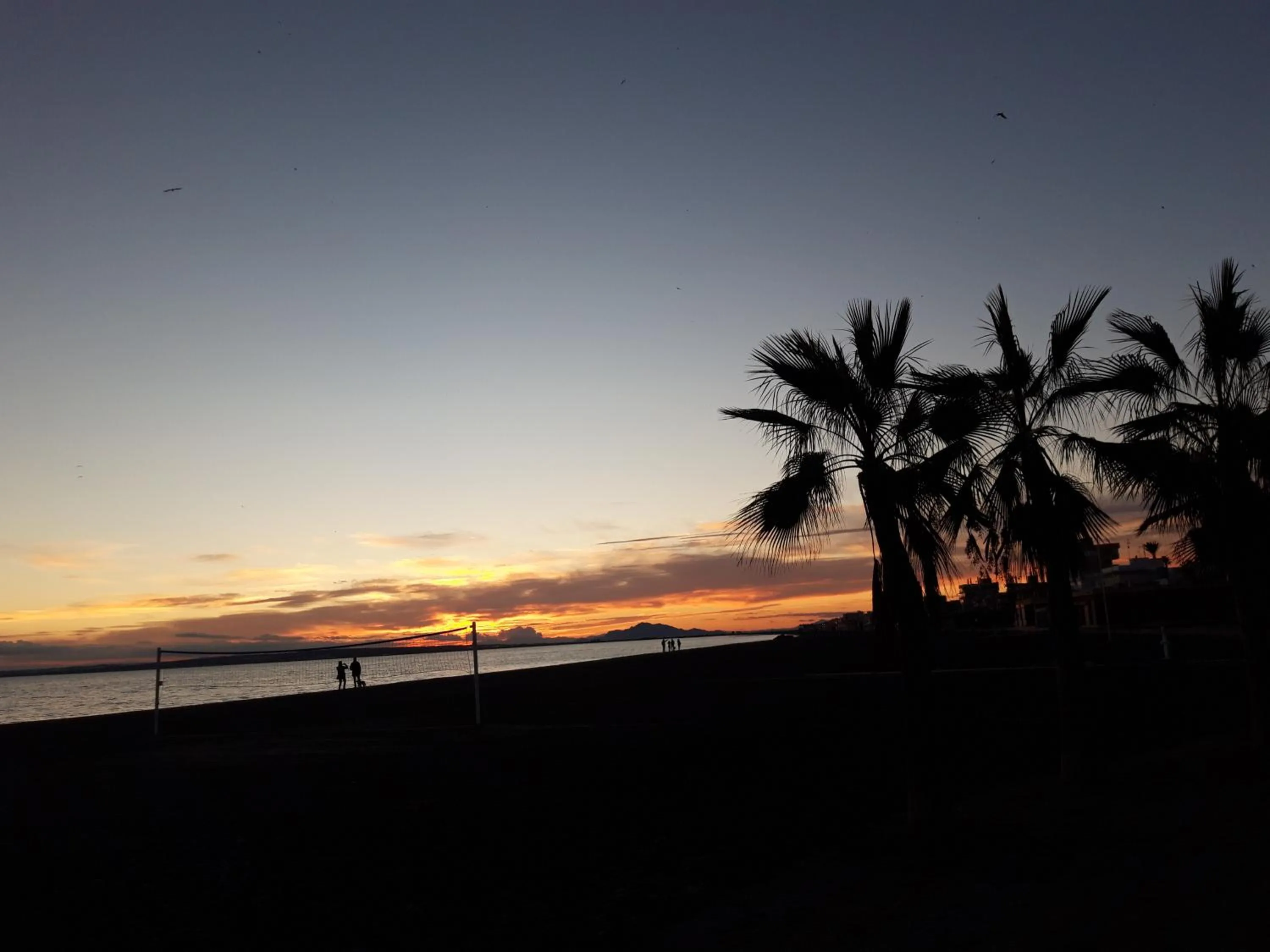 Sunset
