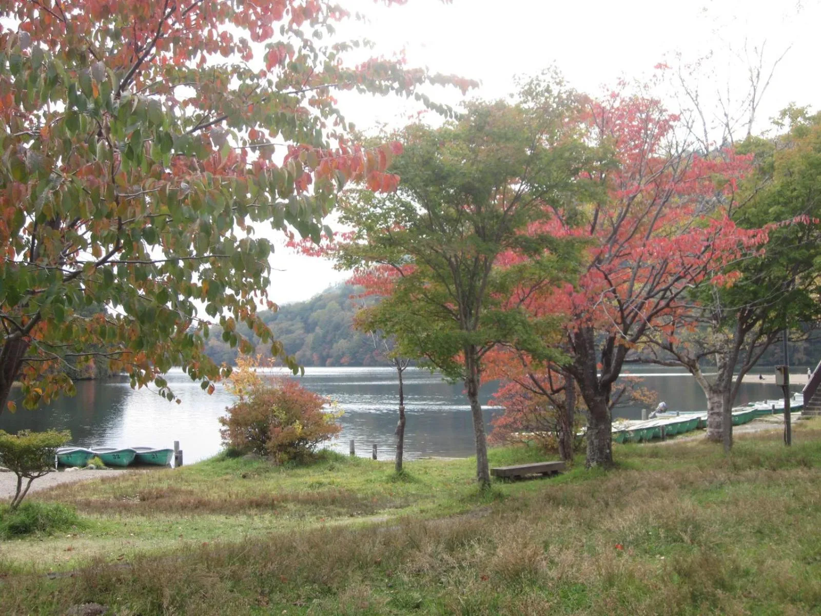 Autumn in Shiunso