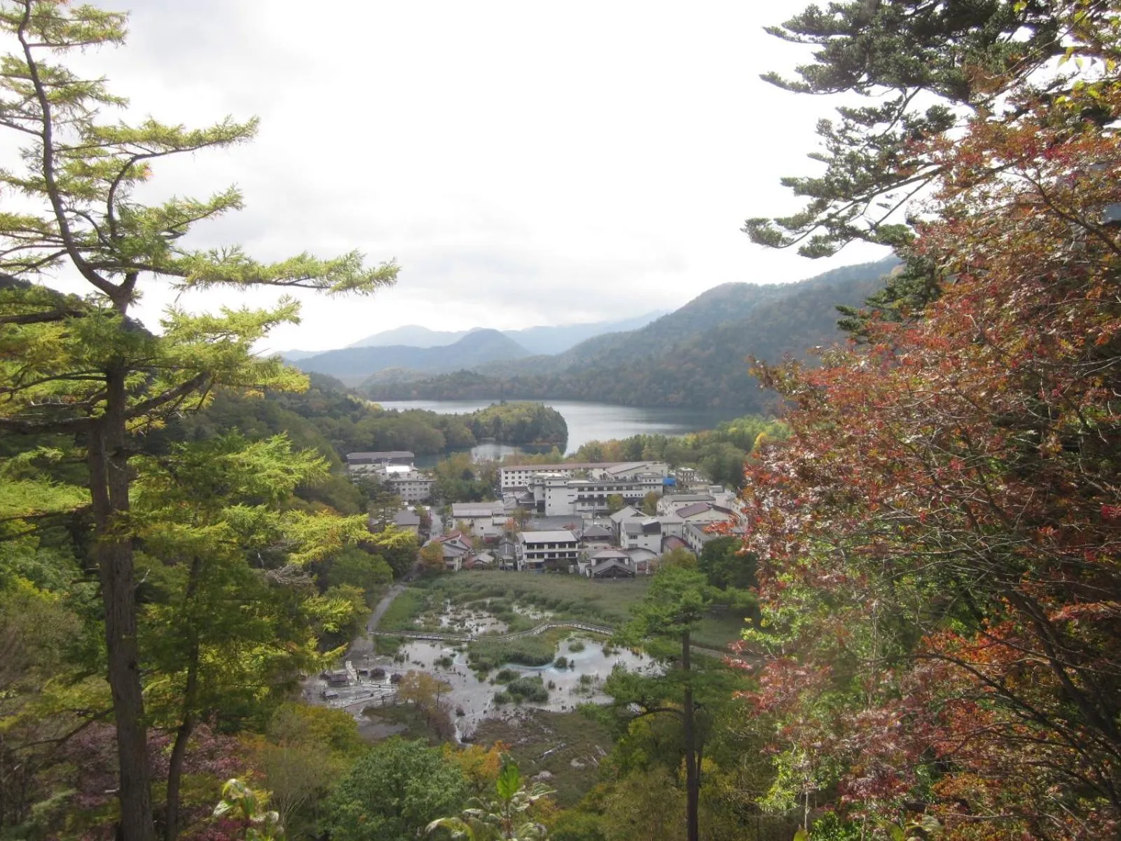 Autumn in Shiunso