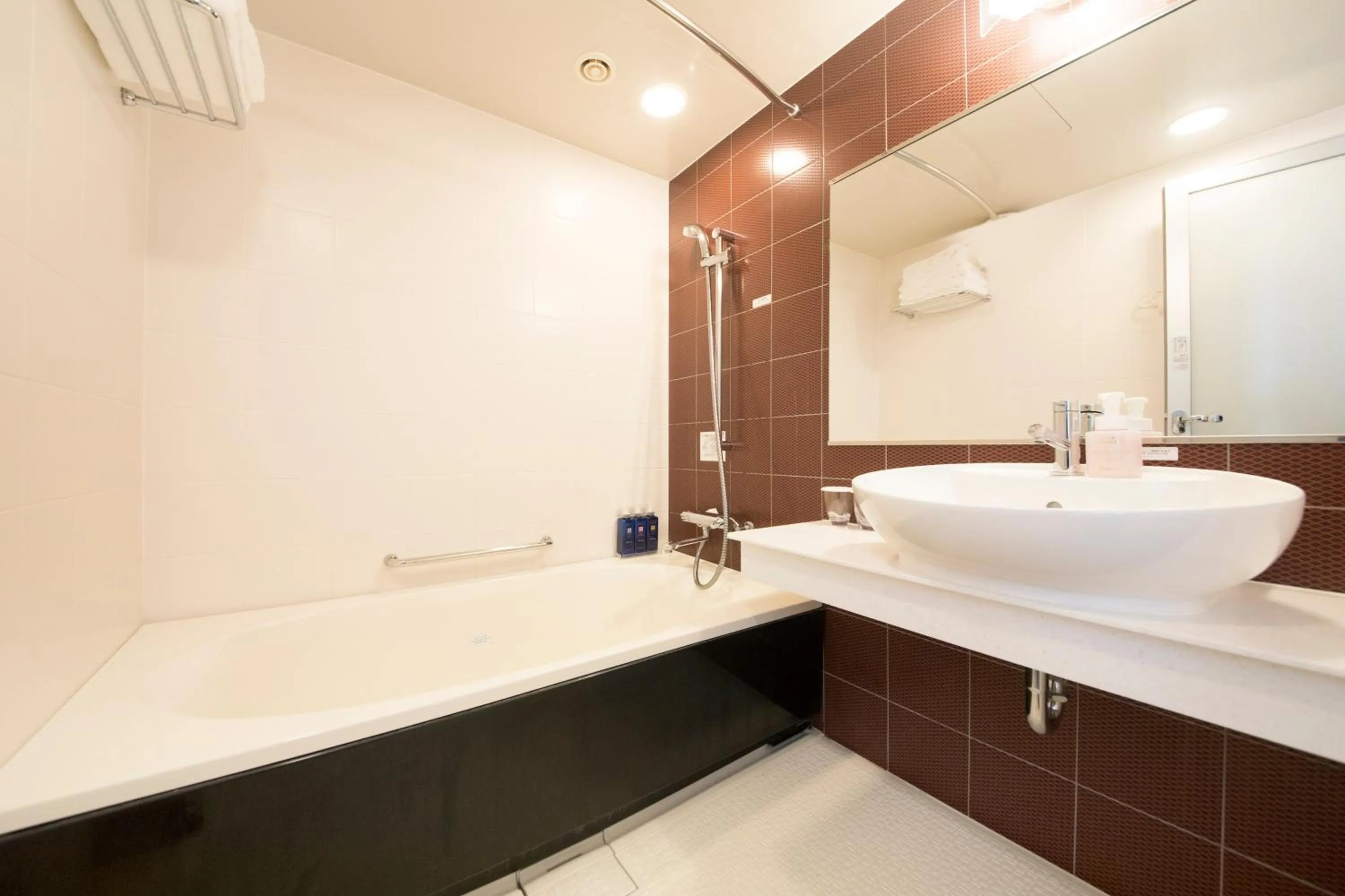 Bathroom in Richmond Hotel Asakusa