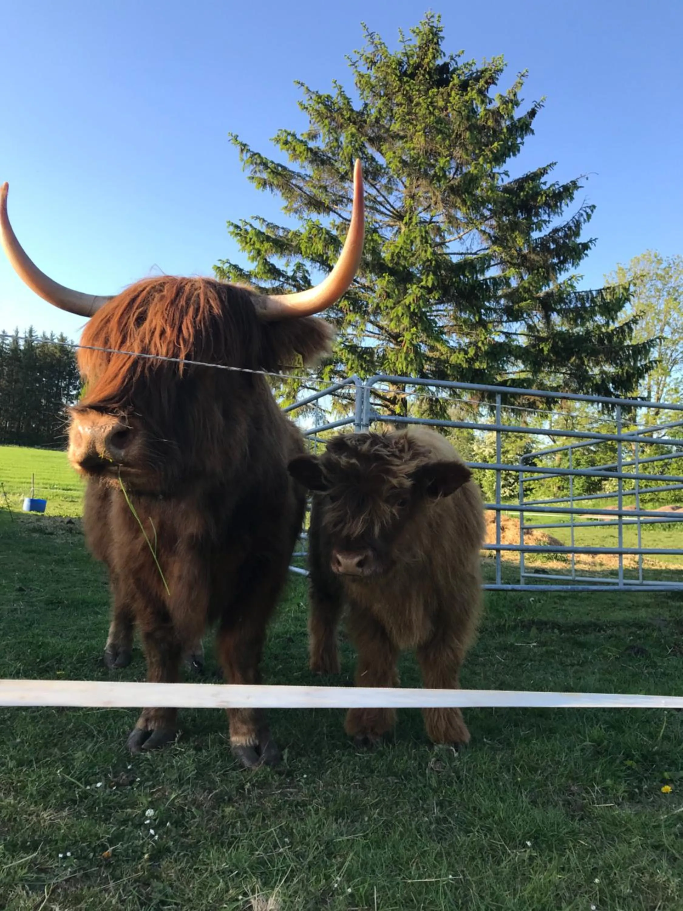 Bremsmaj Farm Holiday