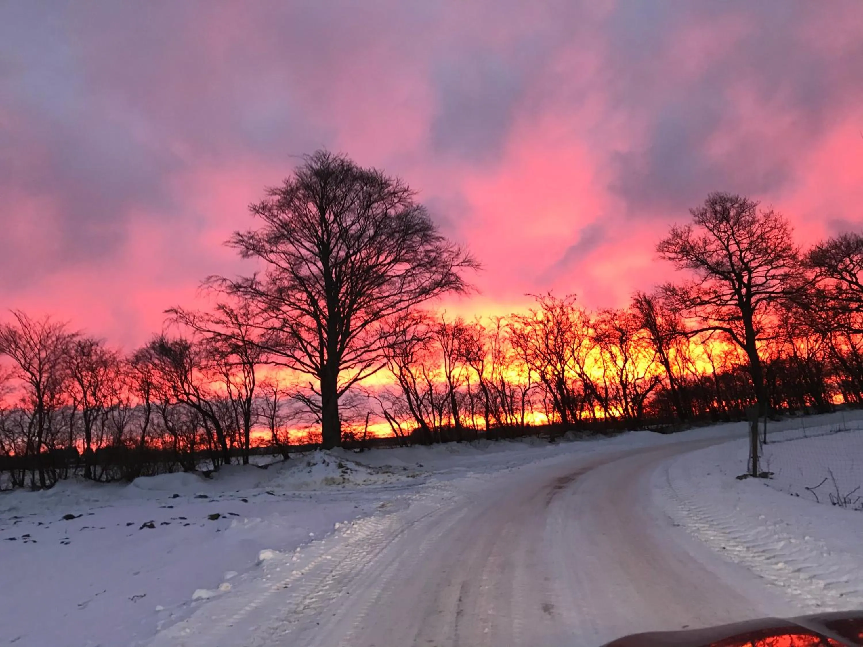 Bremsmaj Farm Holiday