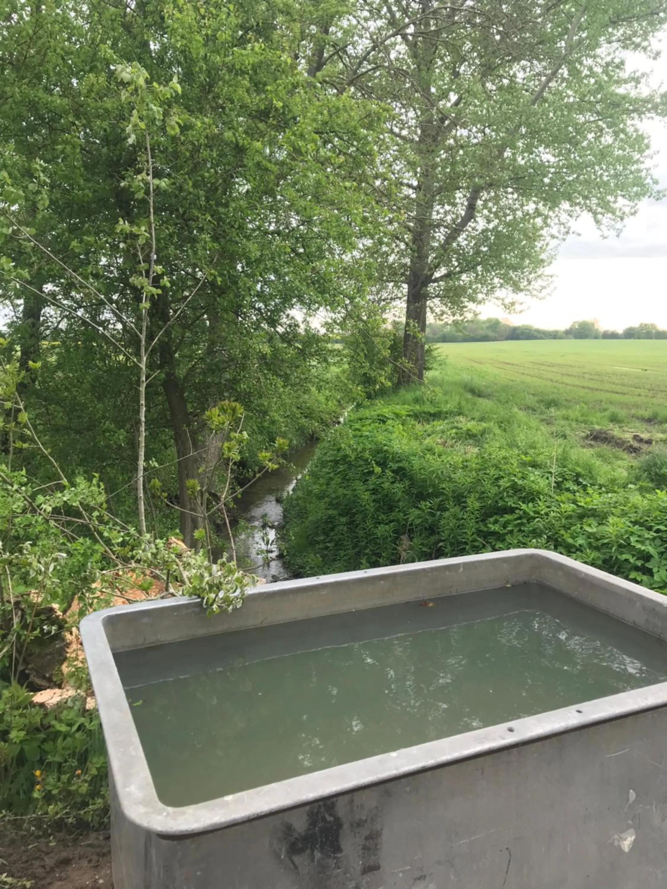 Bremsmaj Farm Holiday