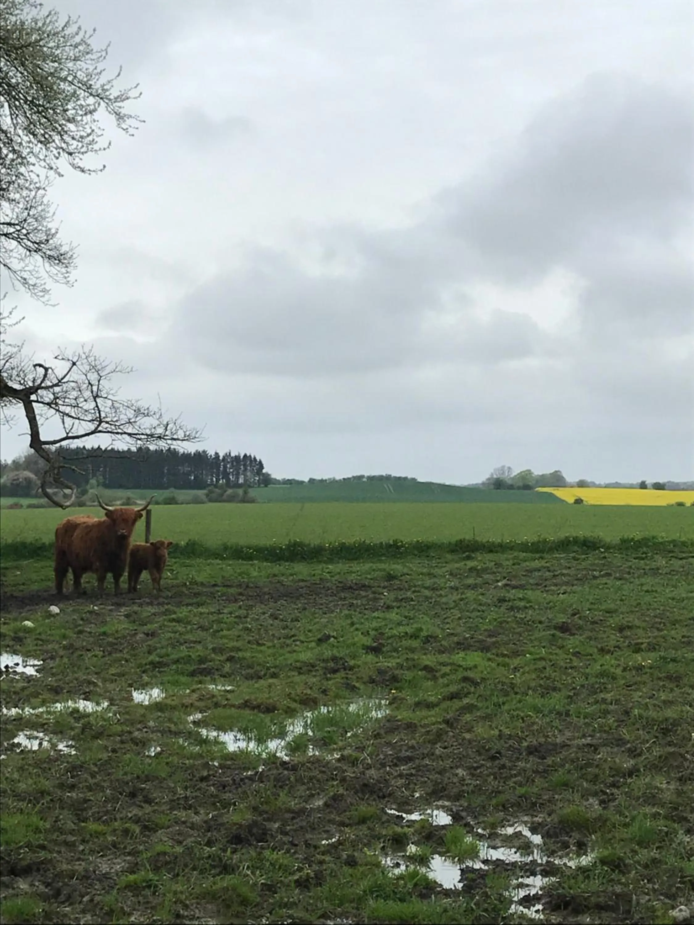 Bremsmaj Farm Holiday