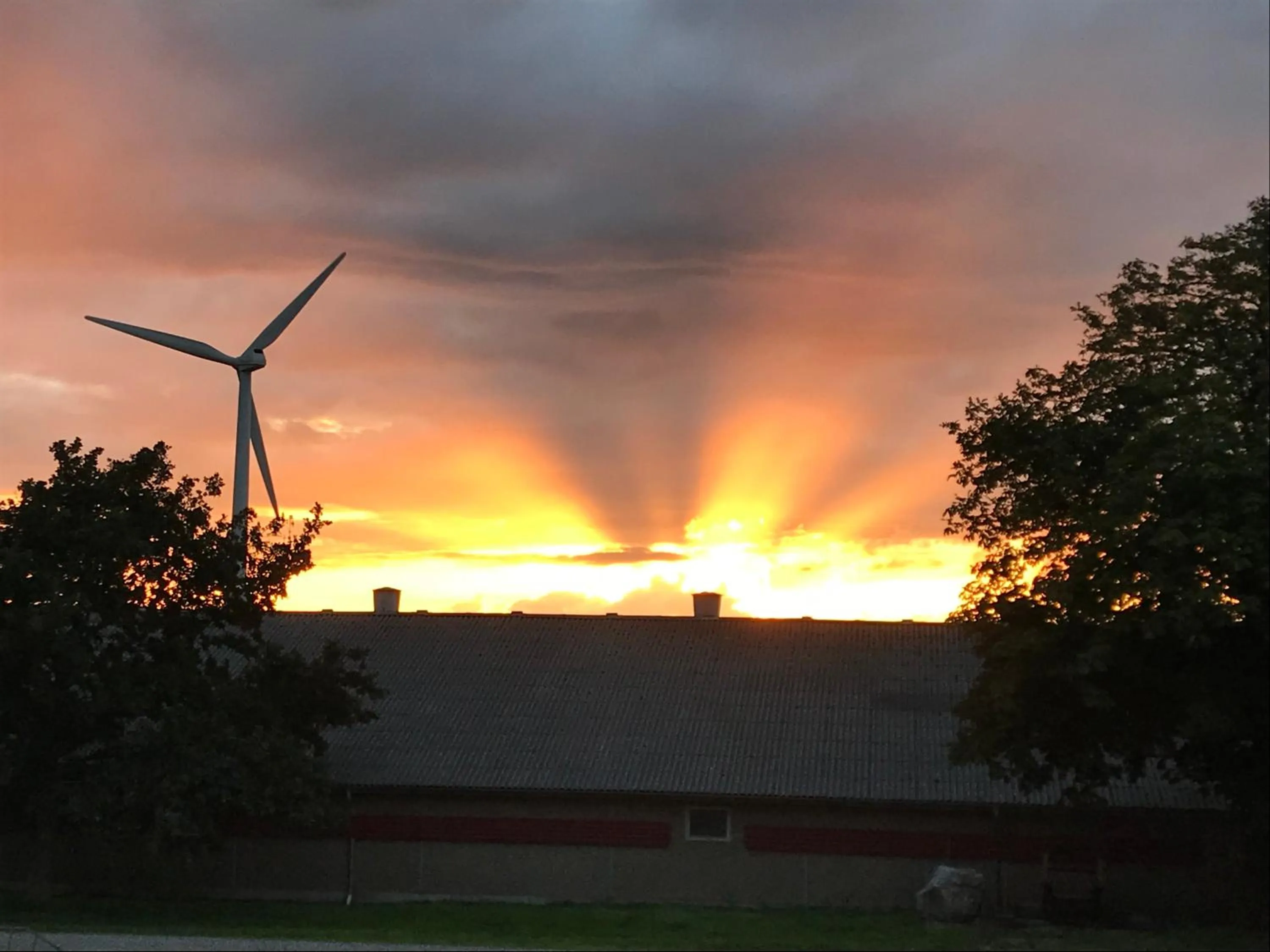 Bremsmaj Farm Holiday