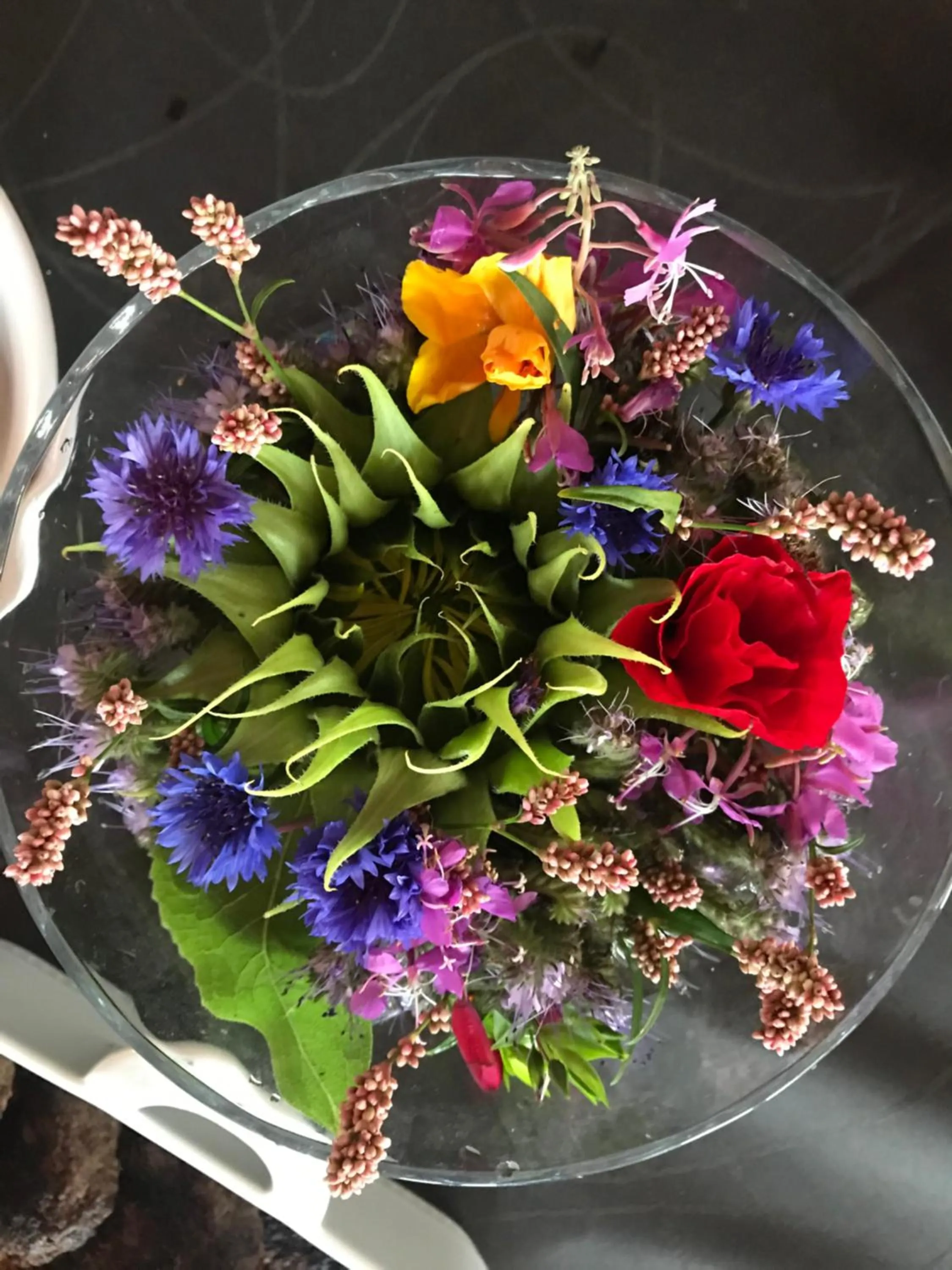 Bremsmaj Farm Holiday