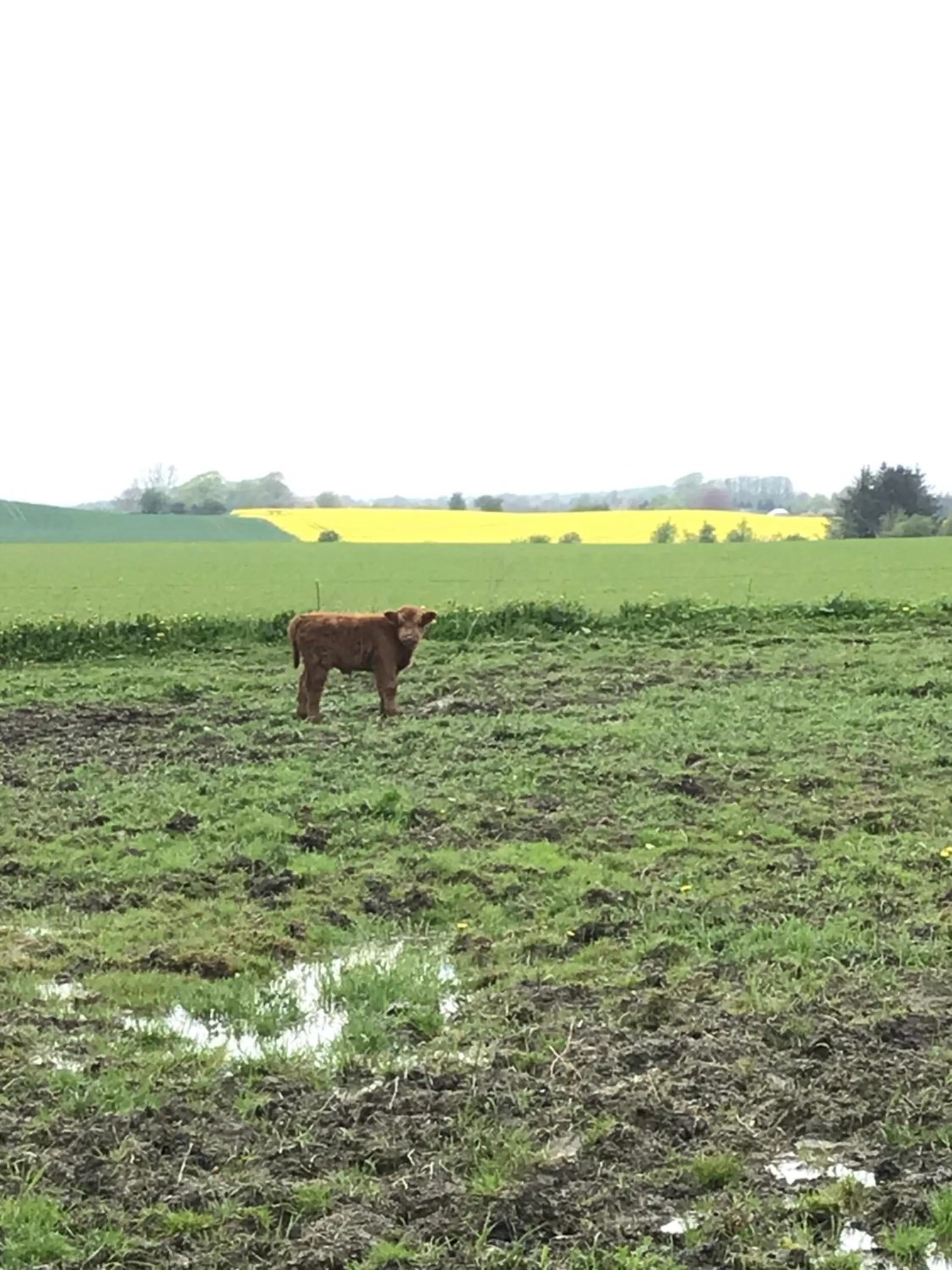 Bremsmaj Farm Holiday