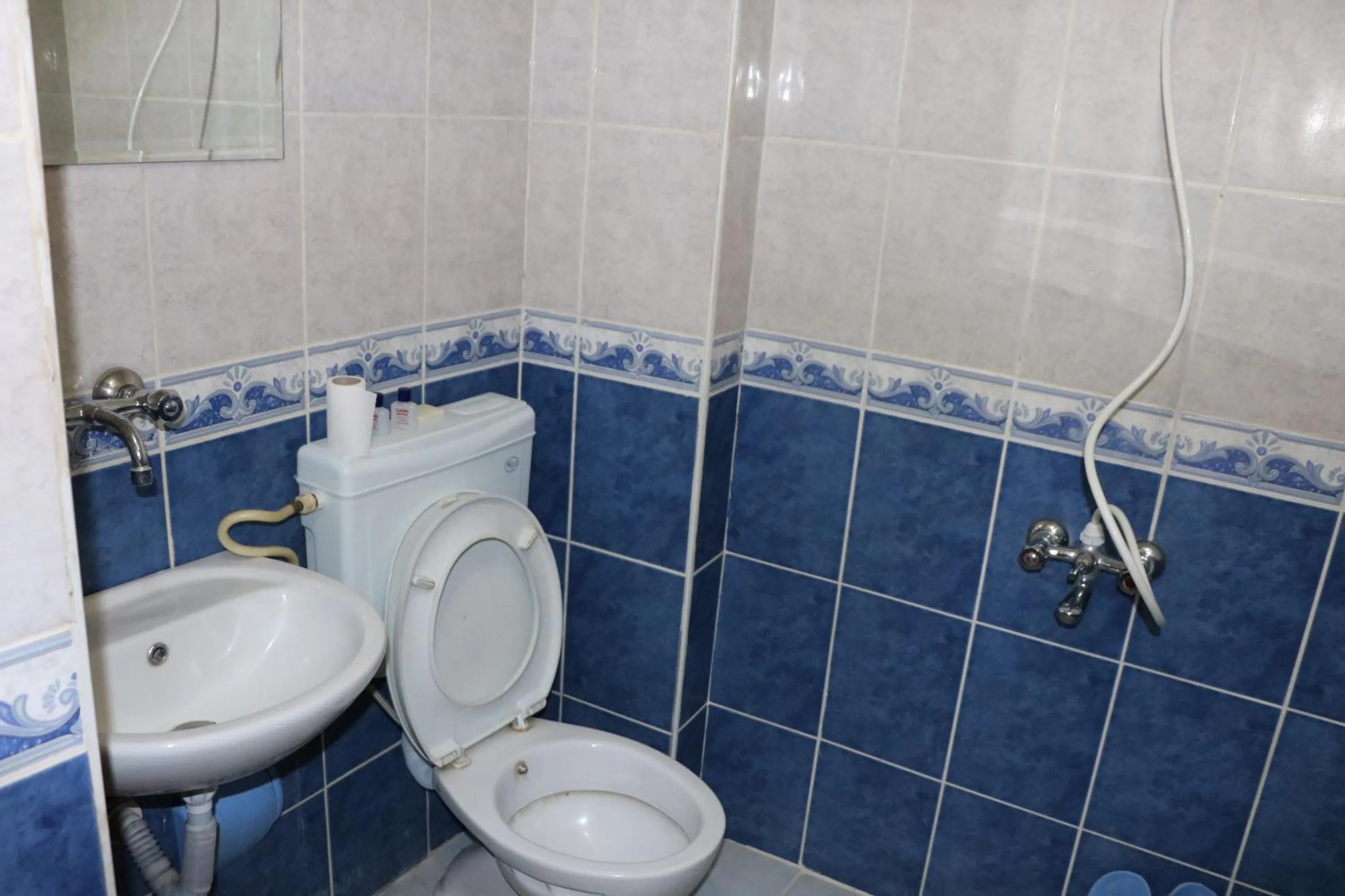 Shower in Talaslioglu Hotel