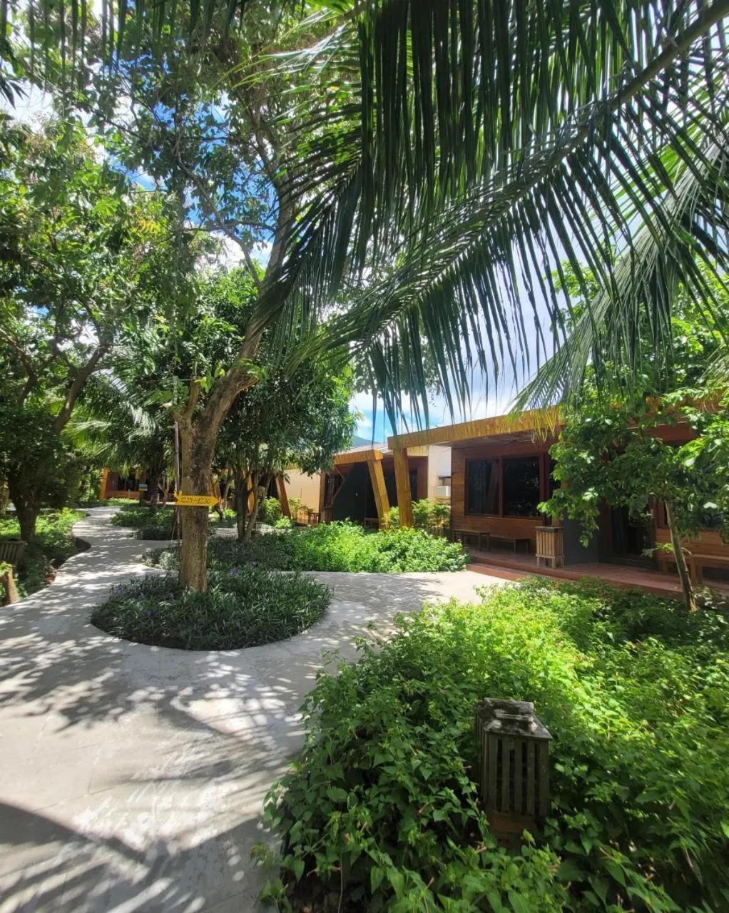 Day in Tan Son Nhat Con Dao Resort