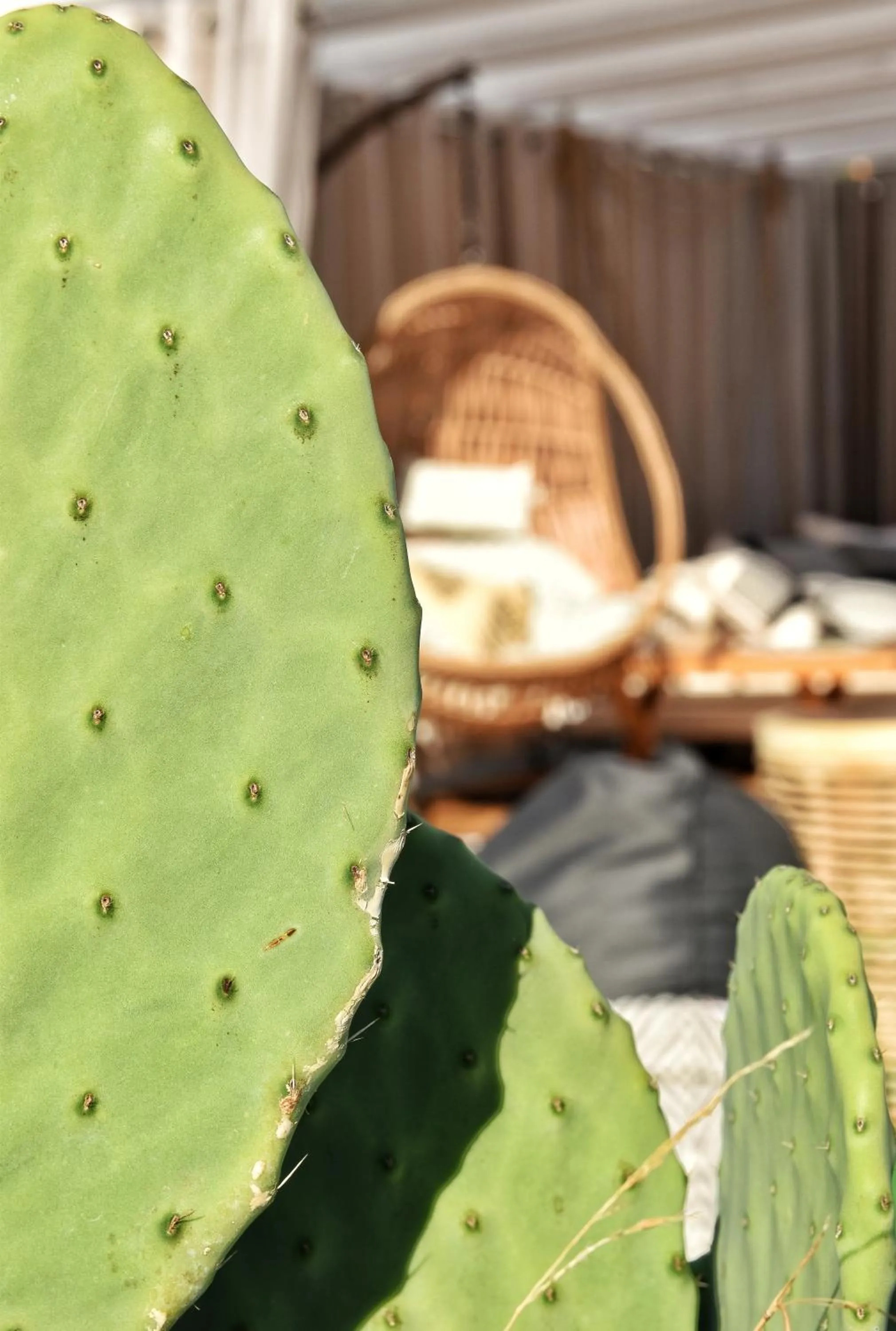 Angelos Design Suites