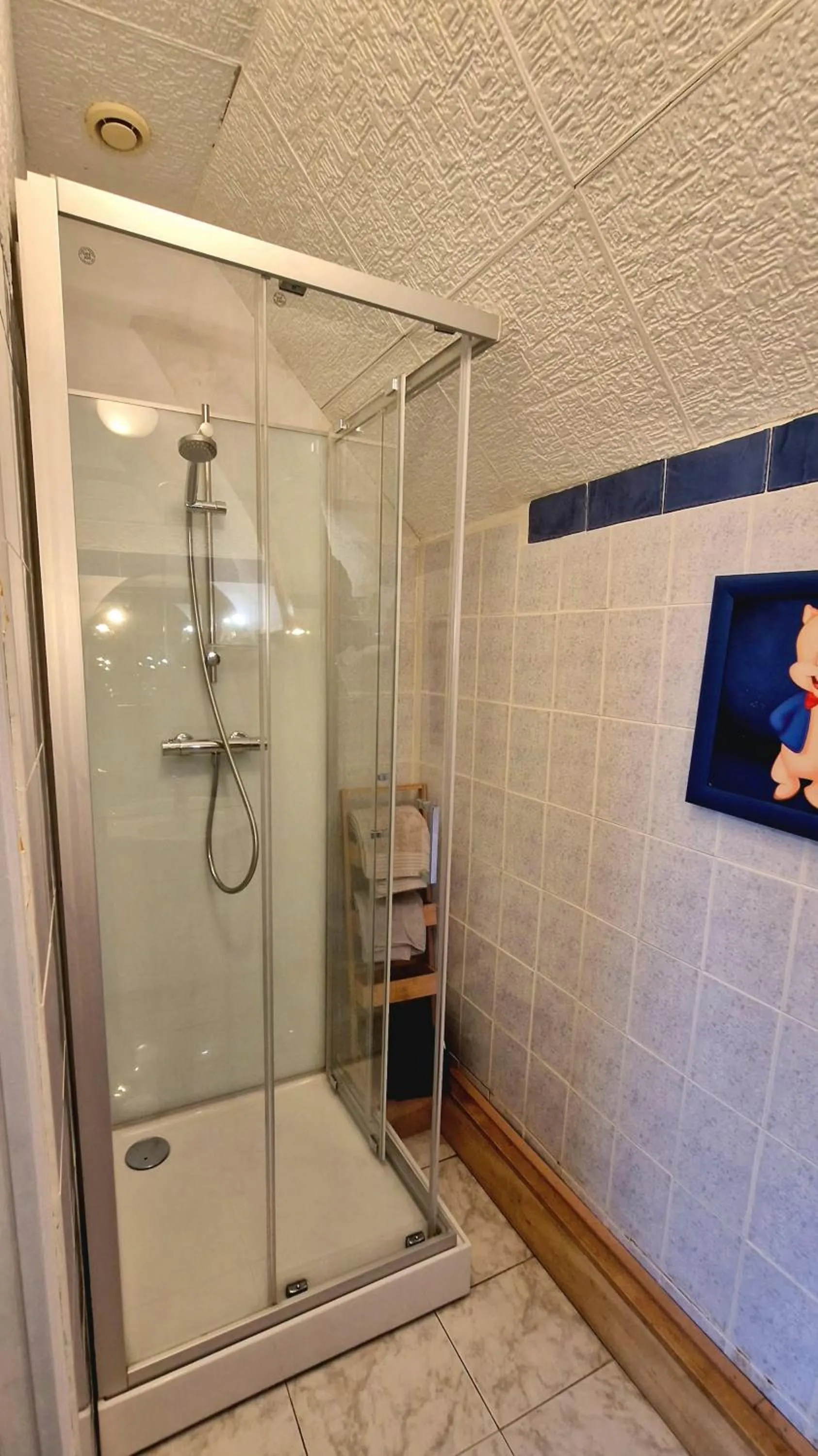 Shower in Chambres d'Hôtes du Manoir du Haut Salmon