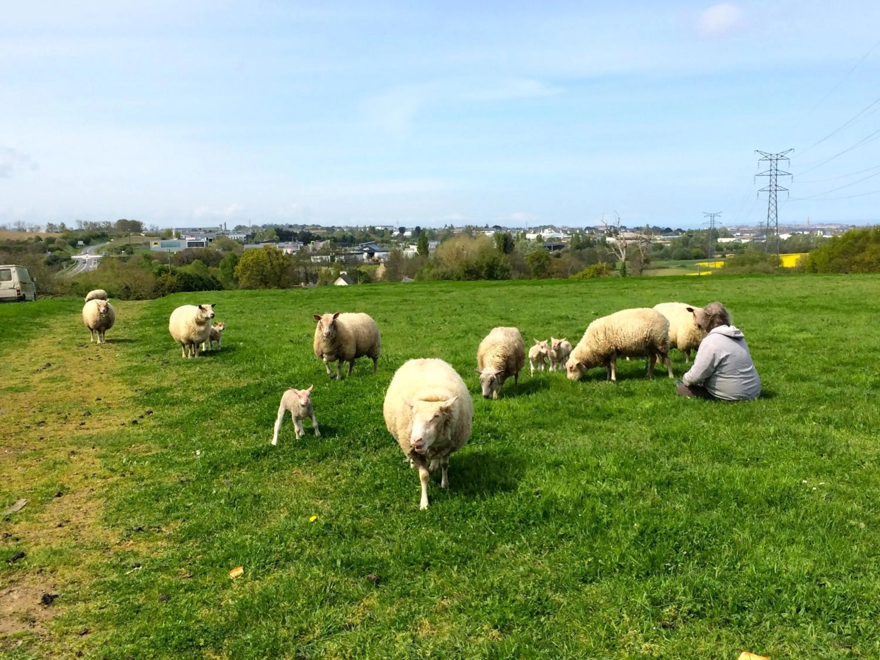 Animals in Chambres d'Hôtes du Manoir du Haut Salmon