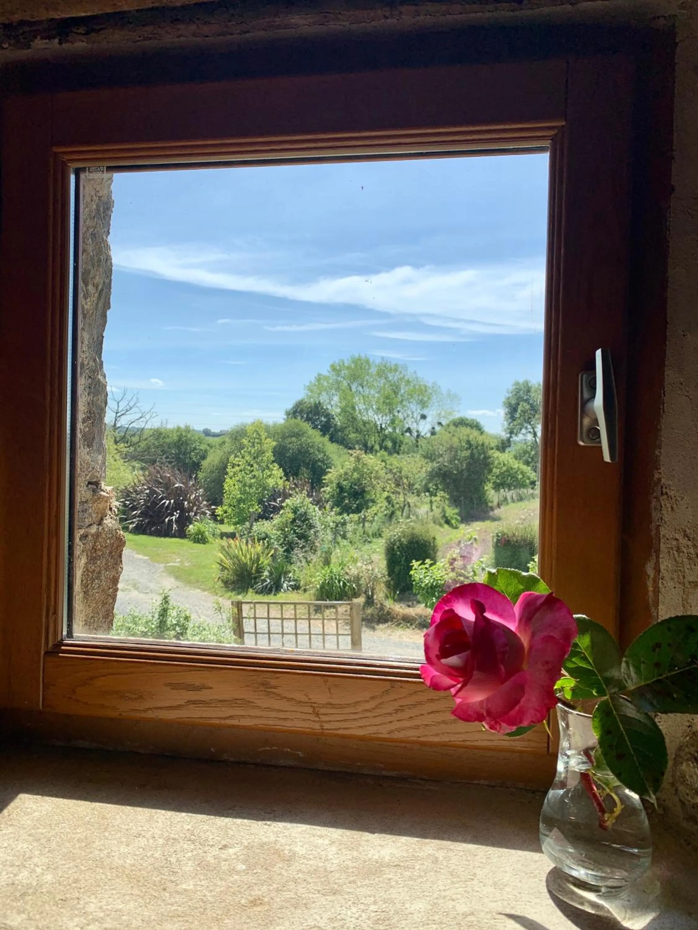 Garden view in Chambres d'Hôtes du Manoir du Haut Salmon