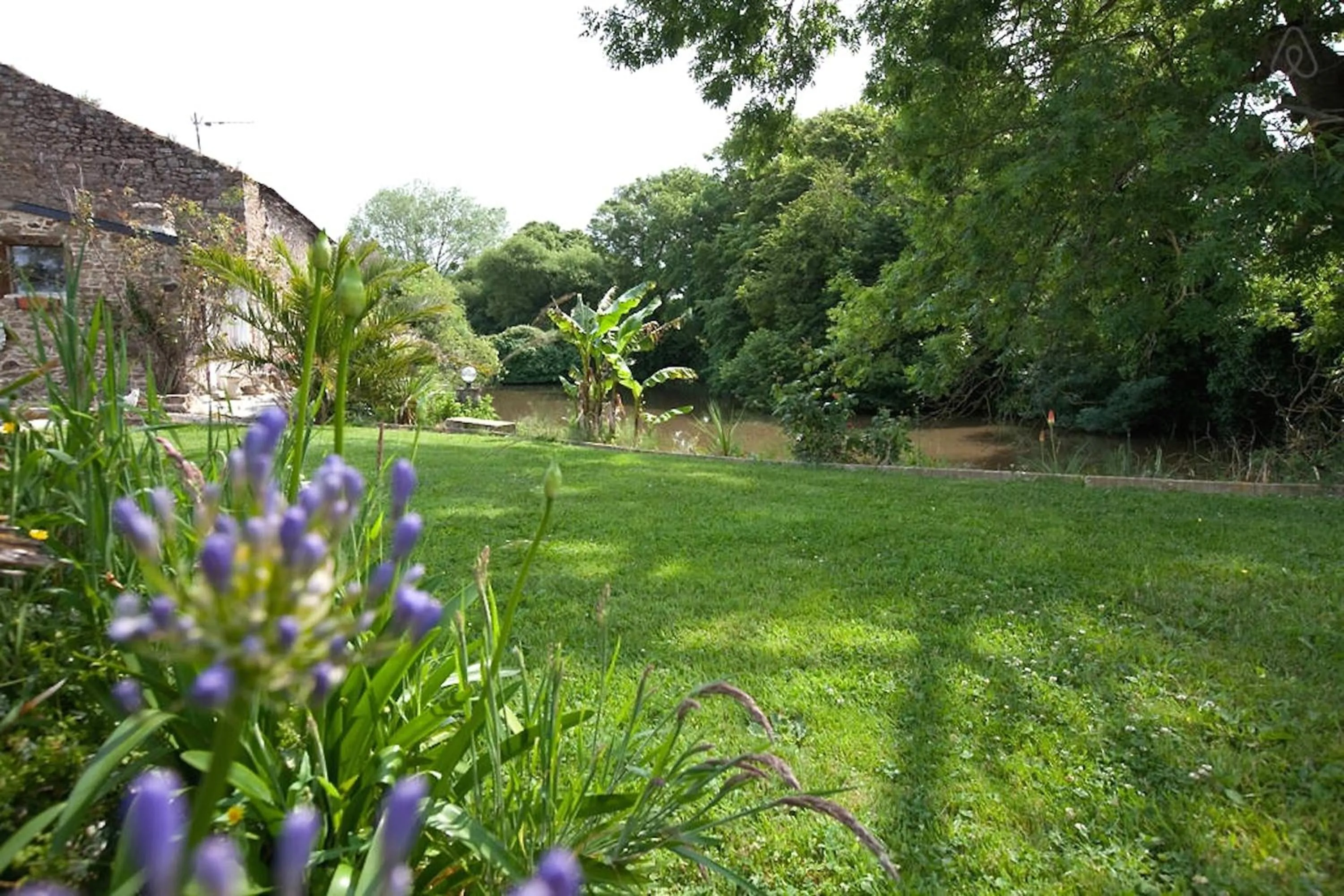 Garden in Chambres d'Hôtes du Manoir du Haut Salmon