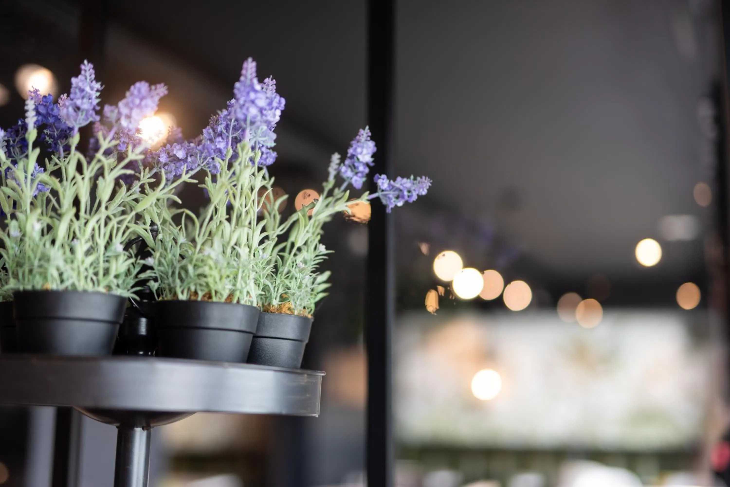 Decorative detail in Kyriad Crepy En Valois