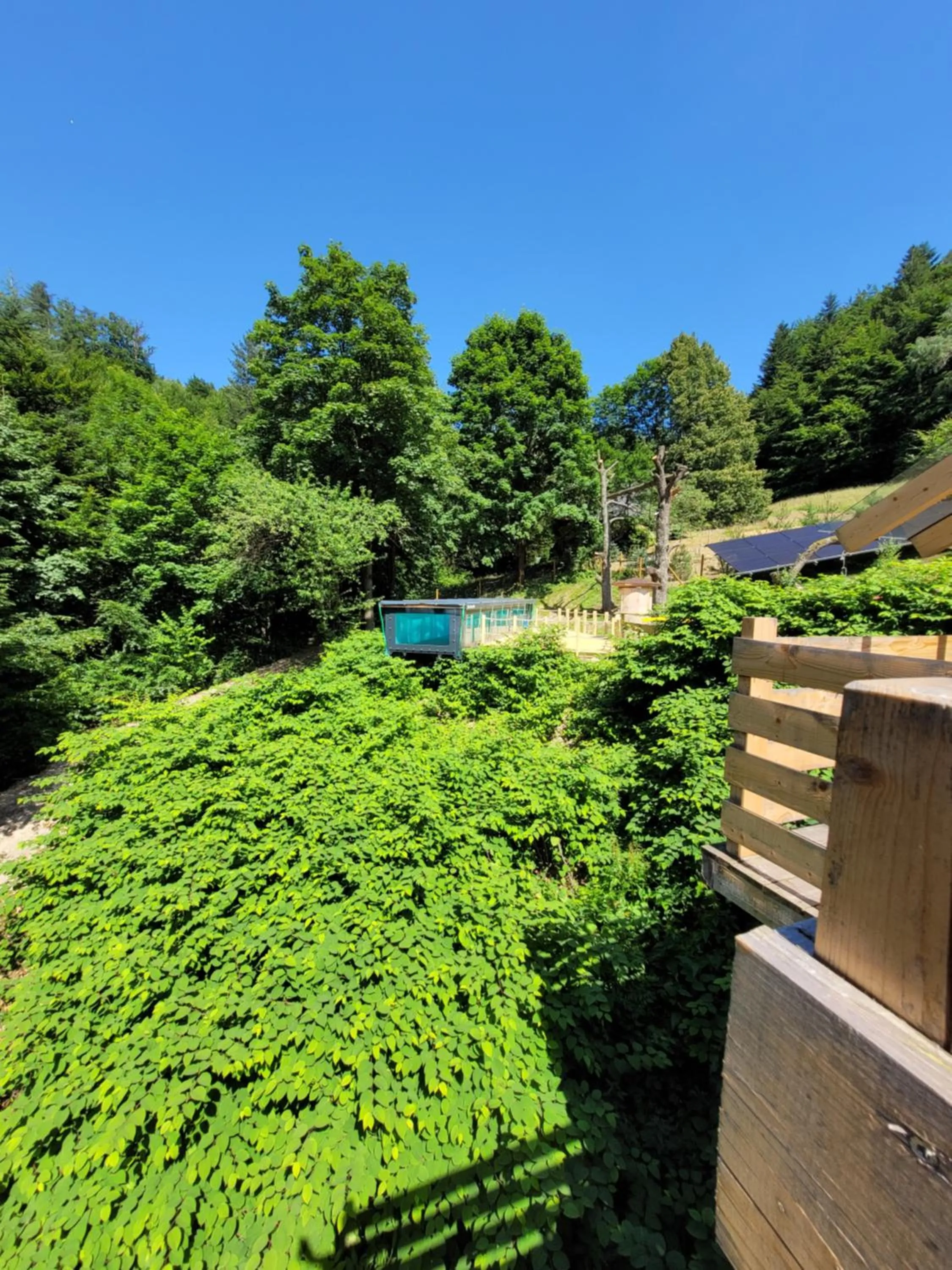 Swimming pool in Cicha Polana
