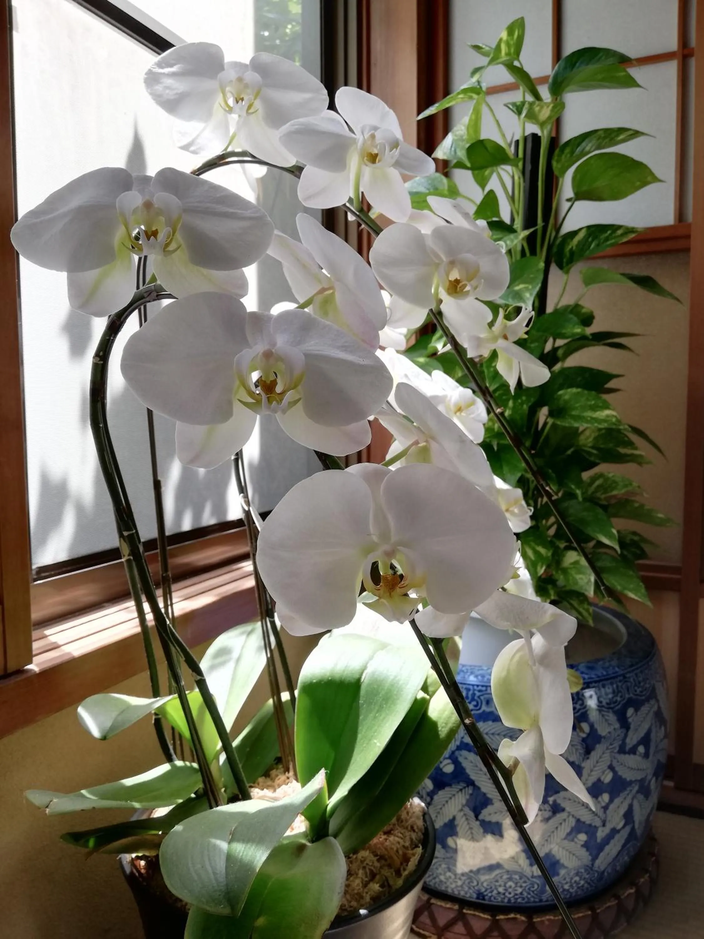 Izu Hokkawa Seaside Guesthouse 伊豆北川の家